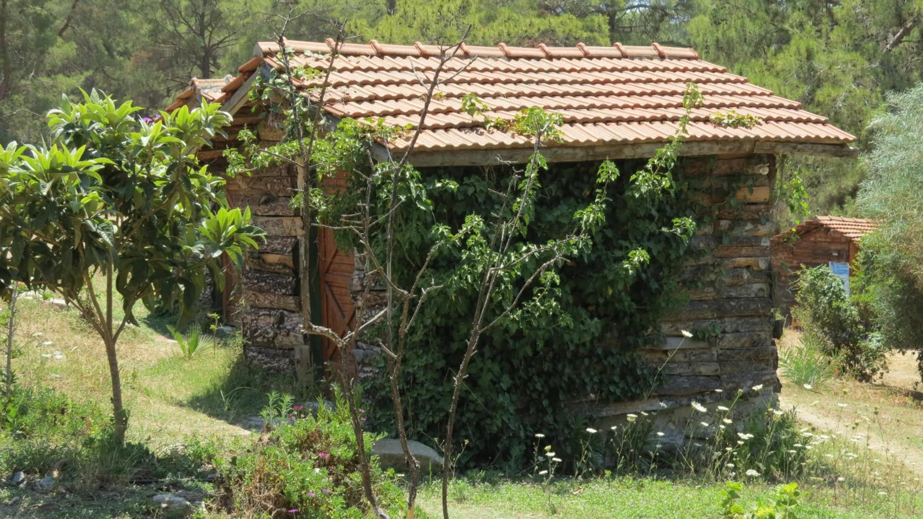 Photo of the whole room in HavaSuPark Bungalows