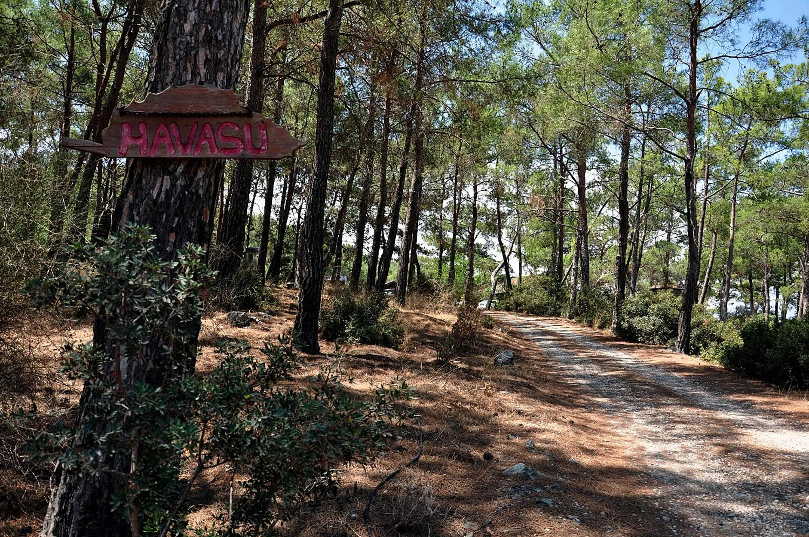 Facade/entrance in HavaSuPark Bungalows