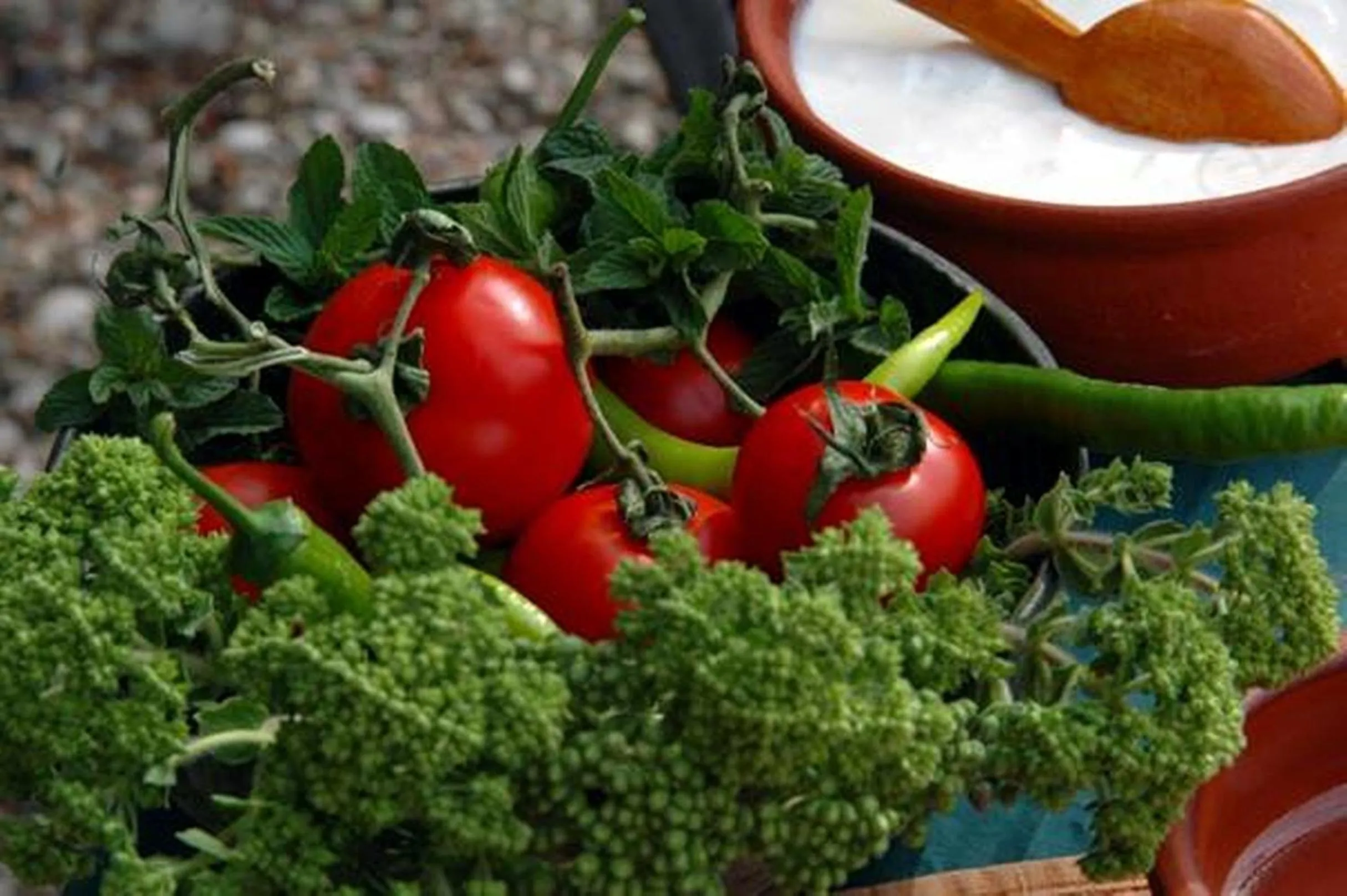 Food close-up in HavaSuPark Bungalows