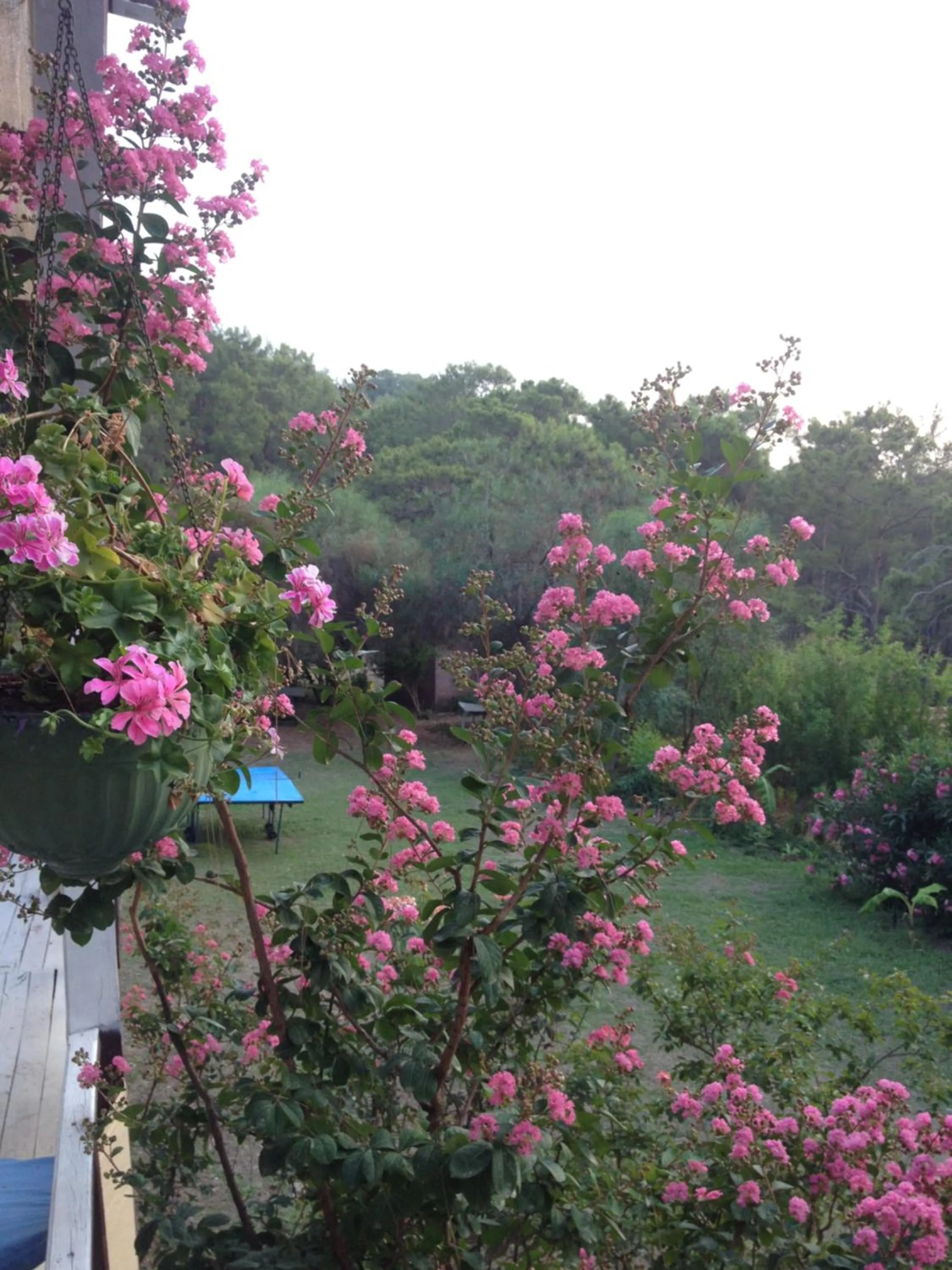 View (from property/room) in HavaSuPark Bungalows
