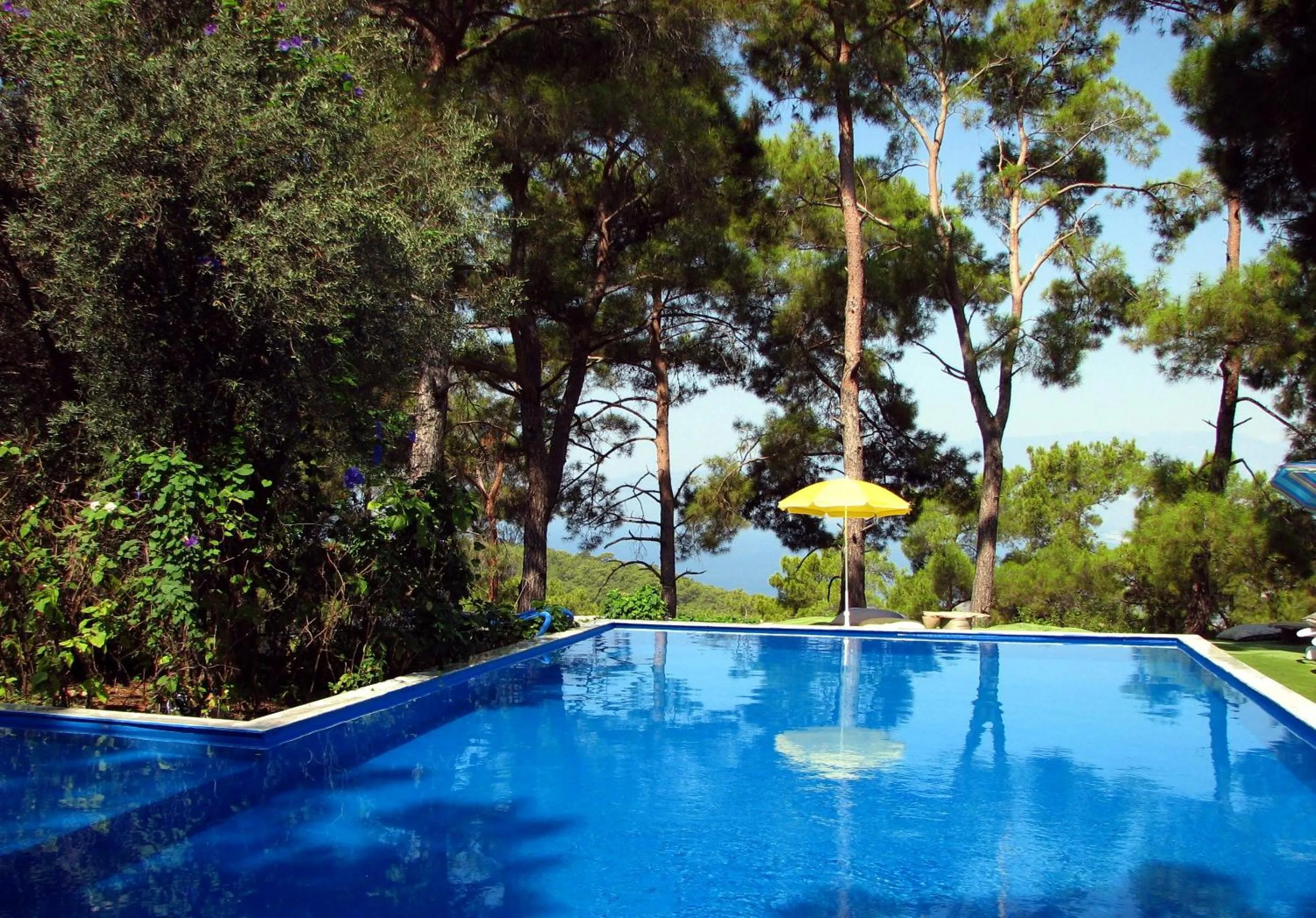 Swimming pool in HavaSuPark Bungalows