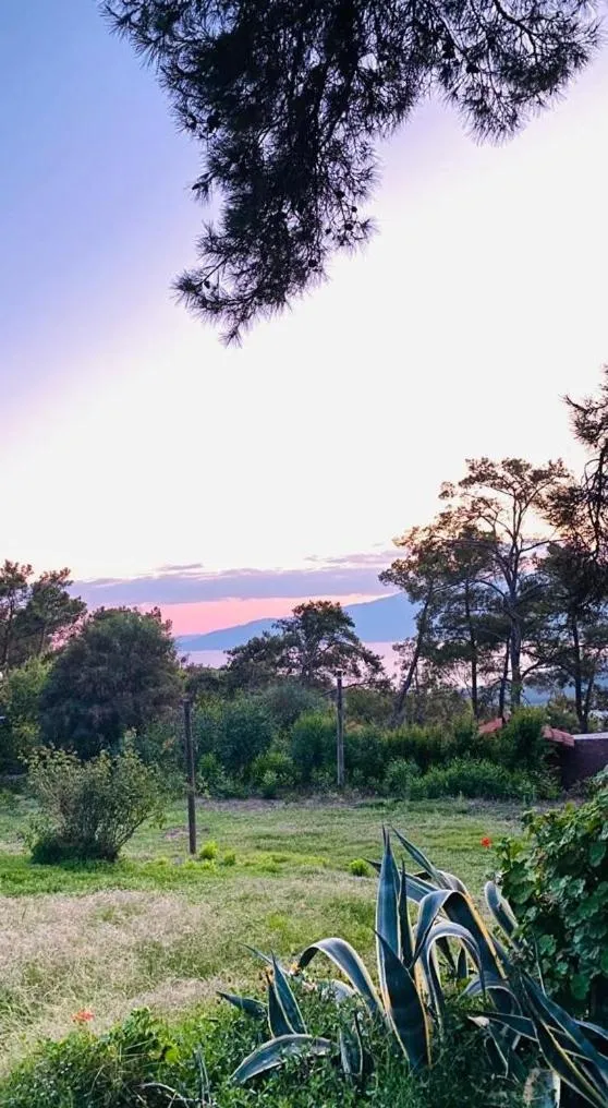 HavaSuPark Bungalows