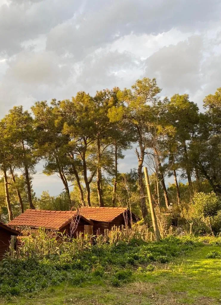HavaSuPark Bungalows