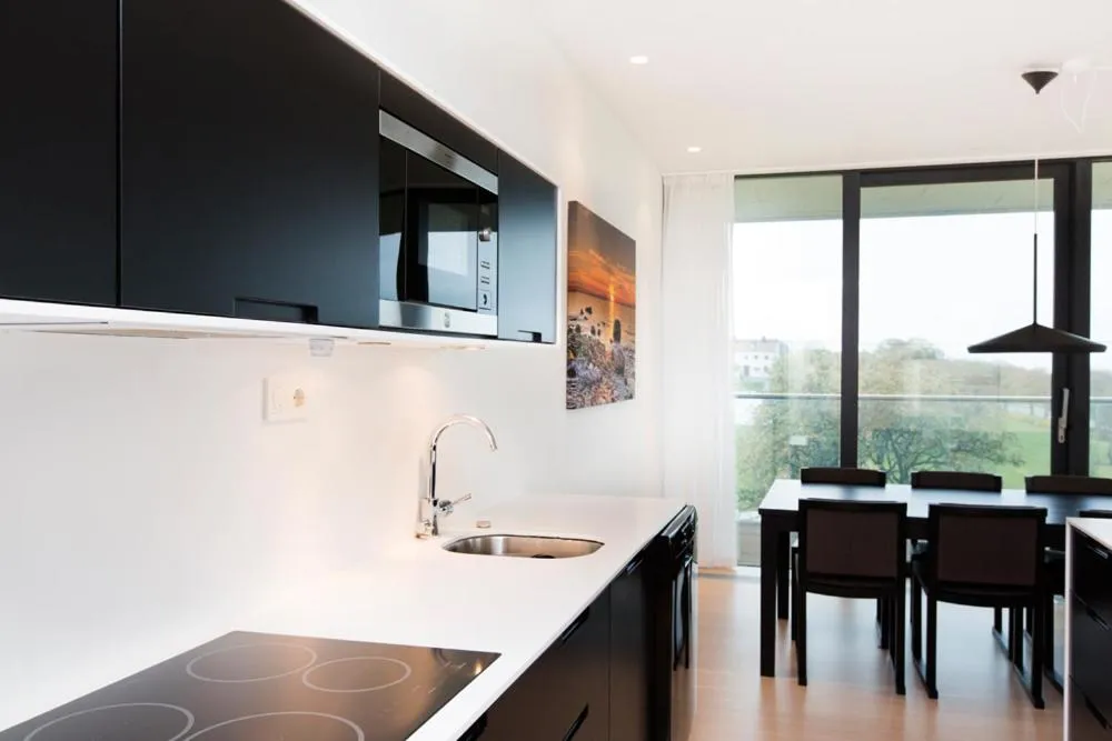 Kitchen or kitchenette in NOVI Resort