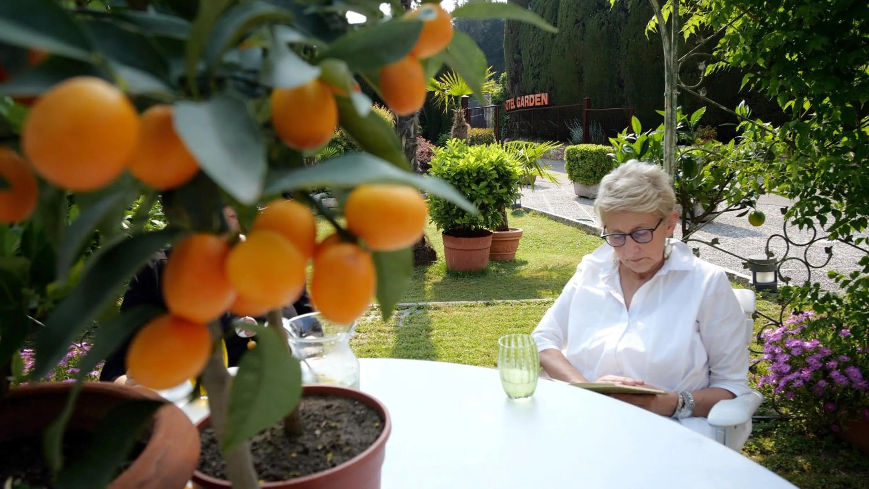 Garden in Hotel Garden