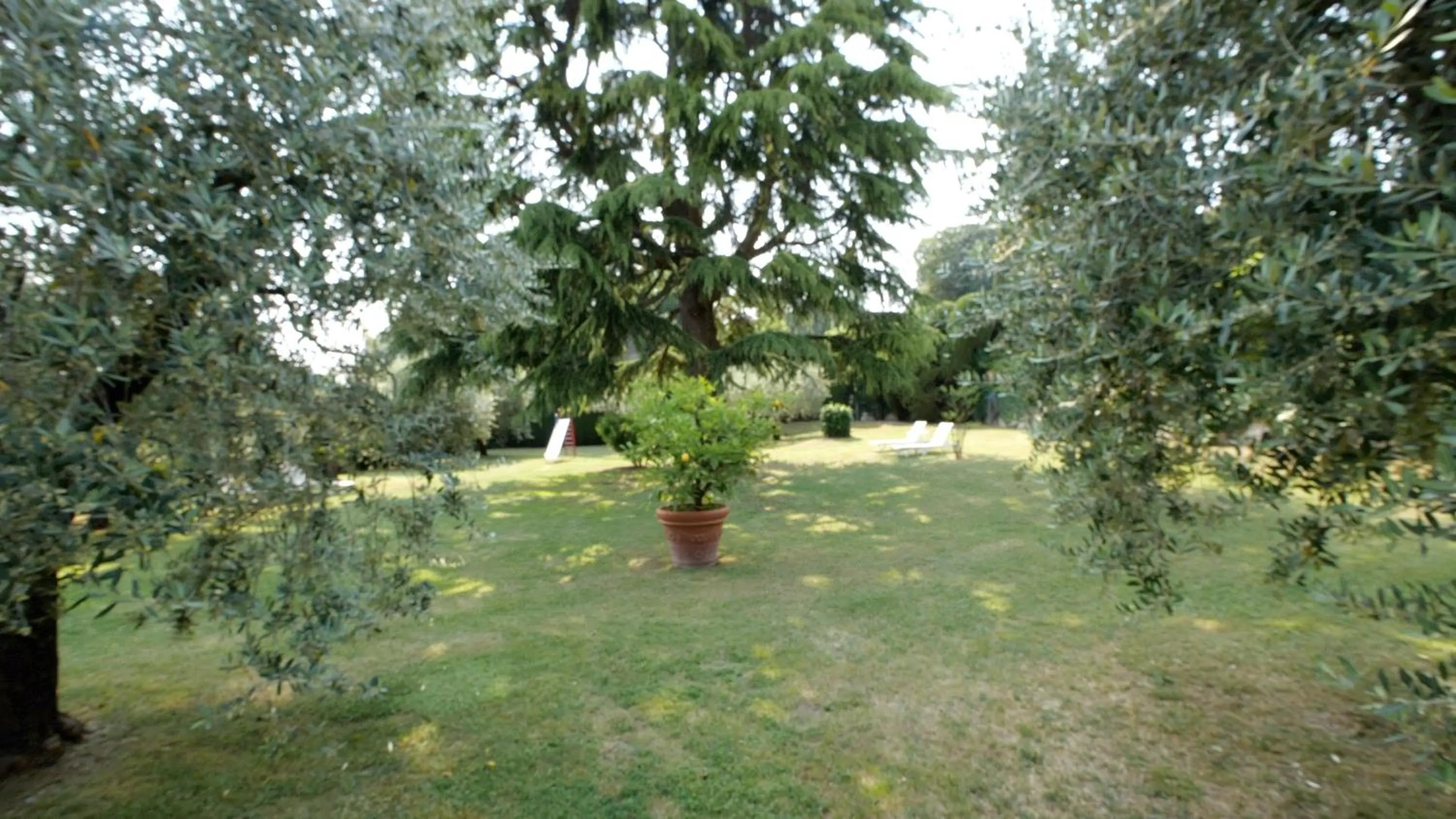 Garden in Hotel Garden