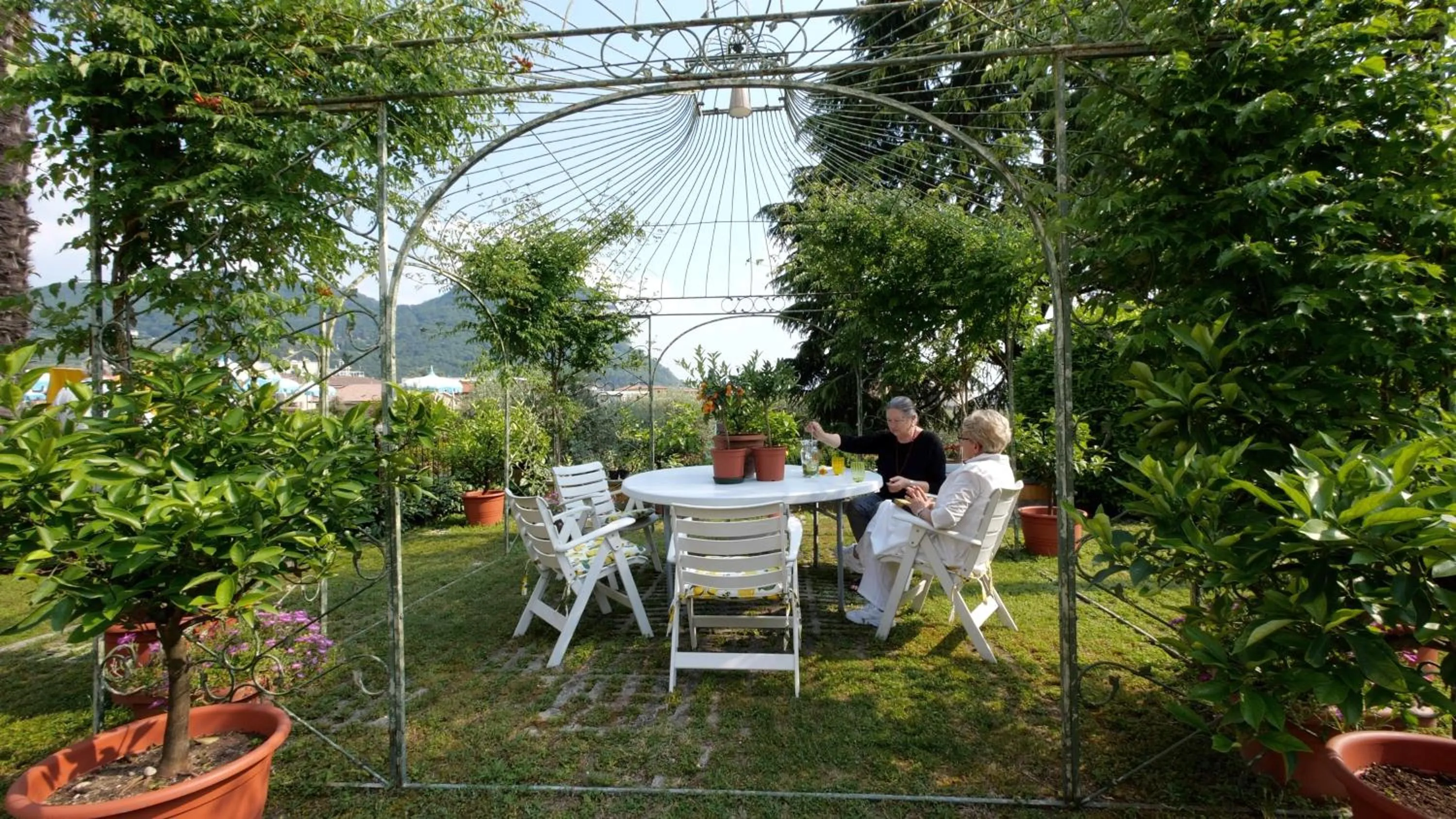 Garden in Hotel Garden