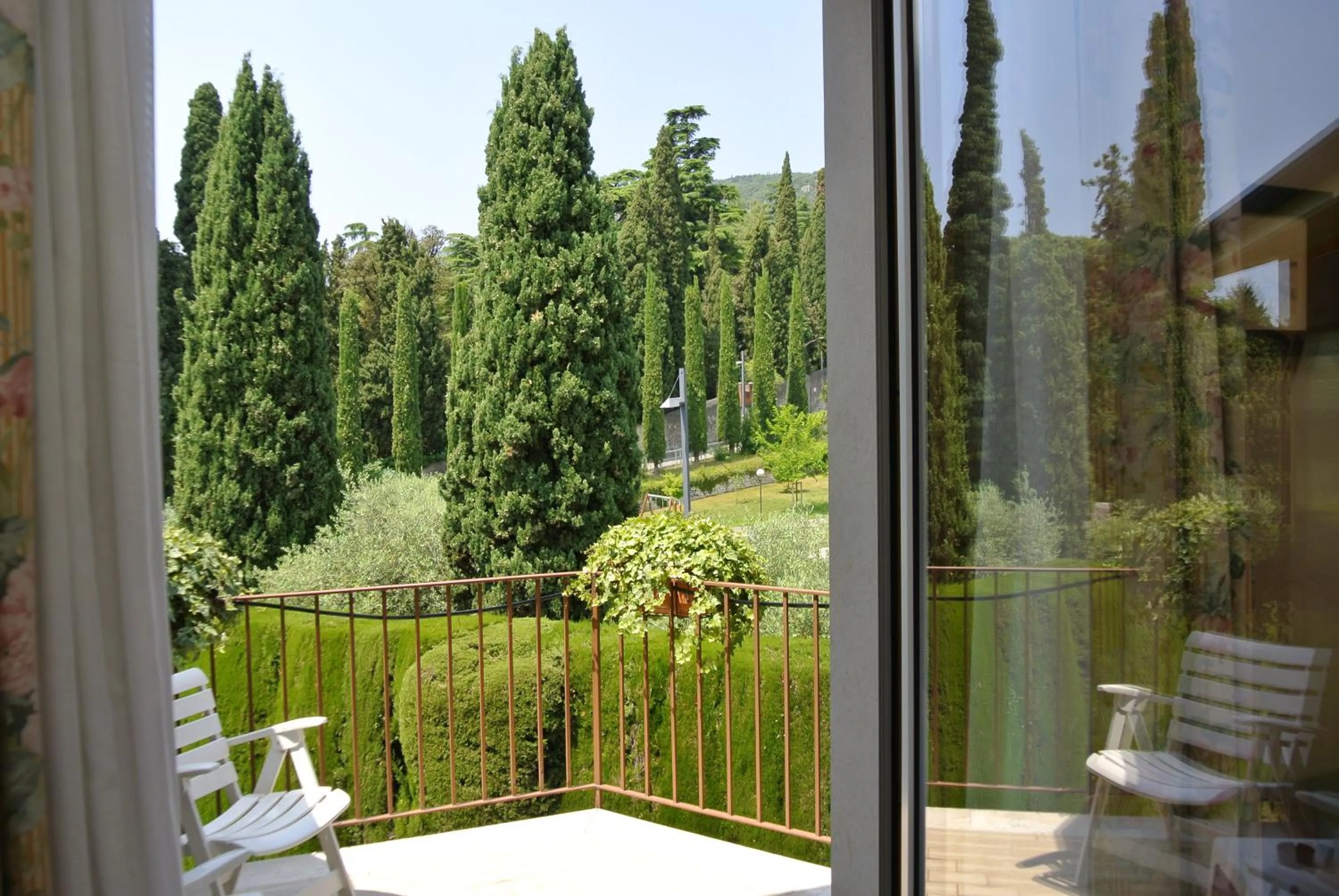 Garden in Hotel Garden