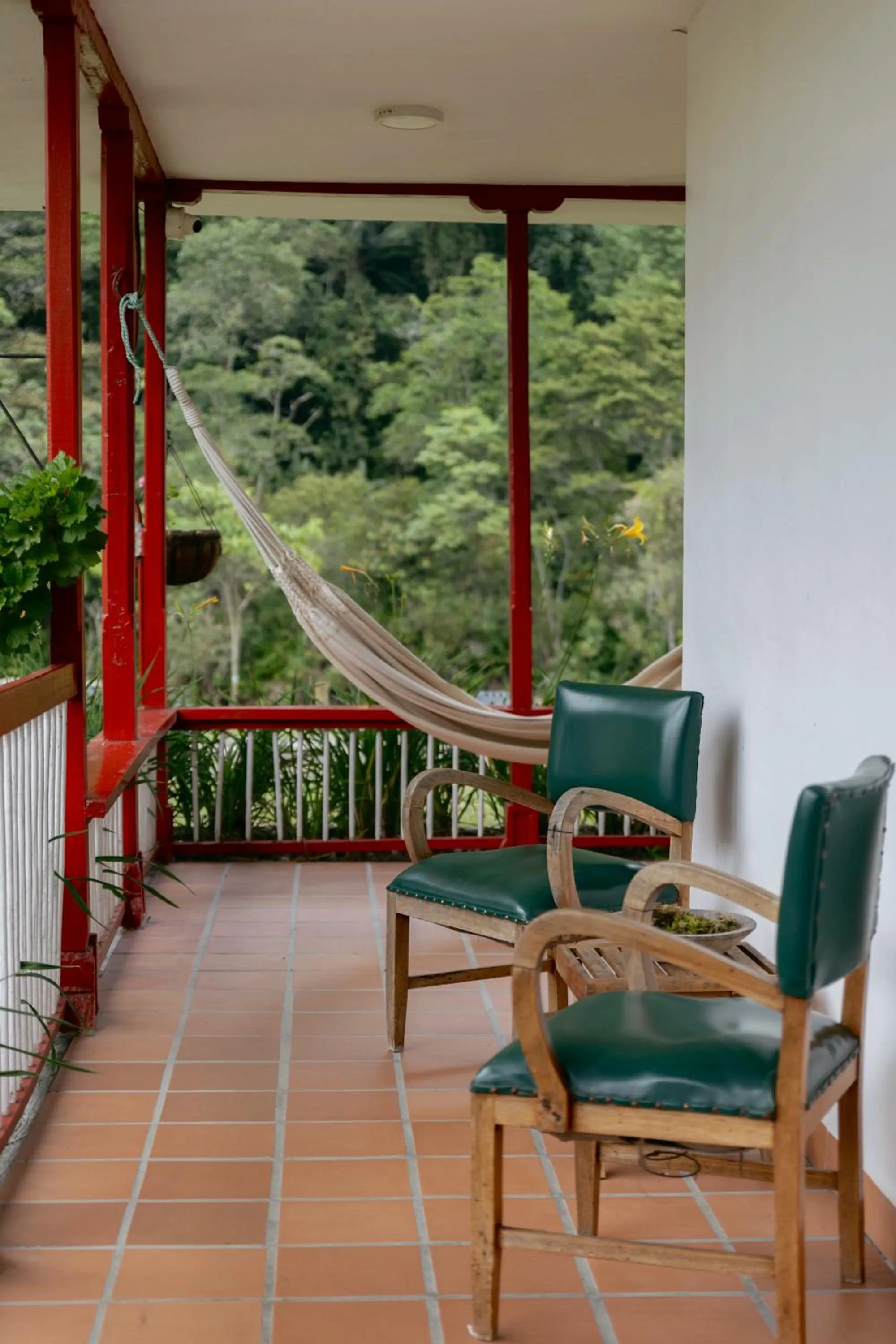 View (from property/room) in La Cabaña Ecohotel - Valle del Cocora