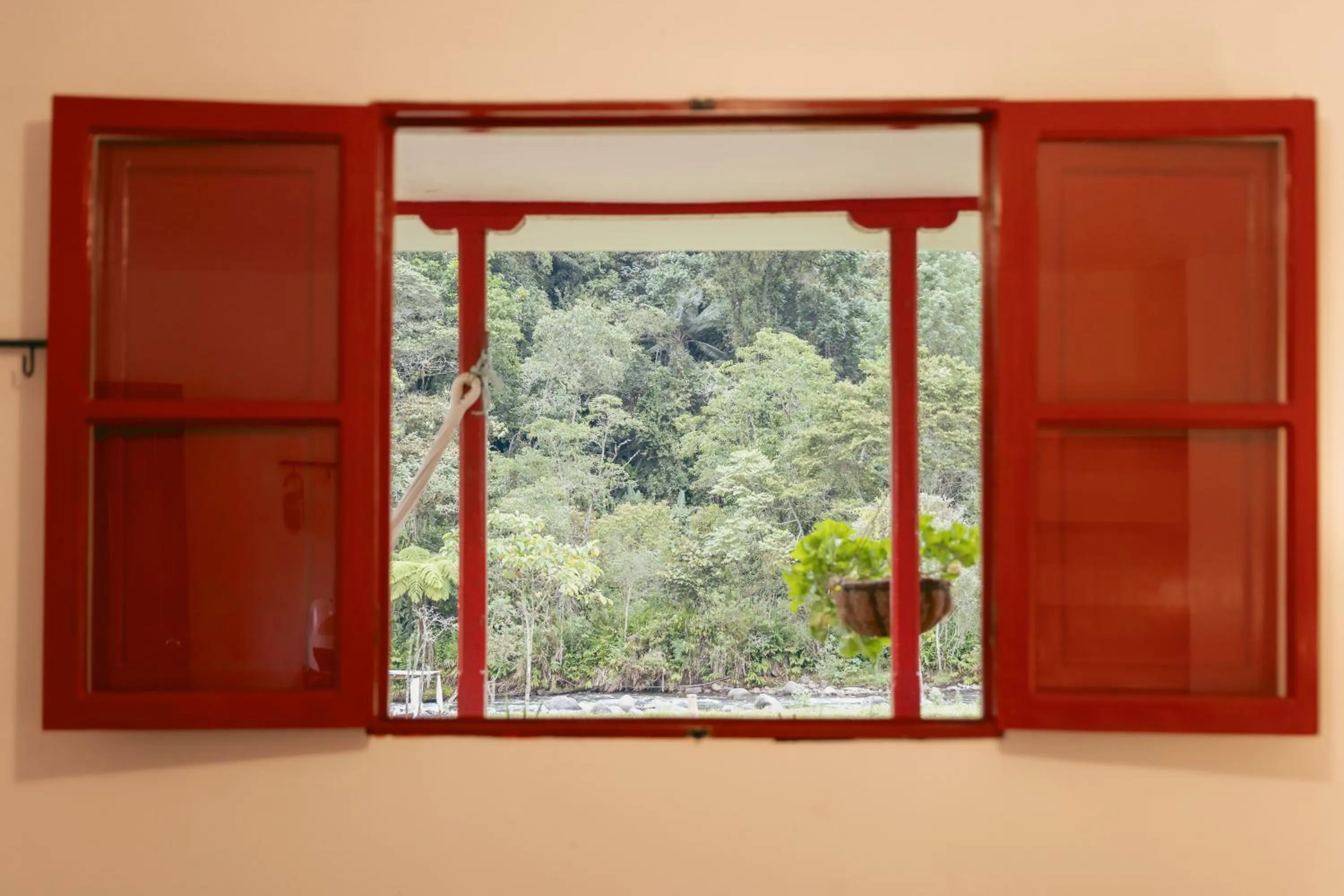 Mountain view in La Cabaña Ecohotel - Valle del Cocora