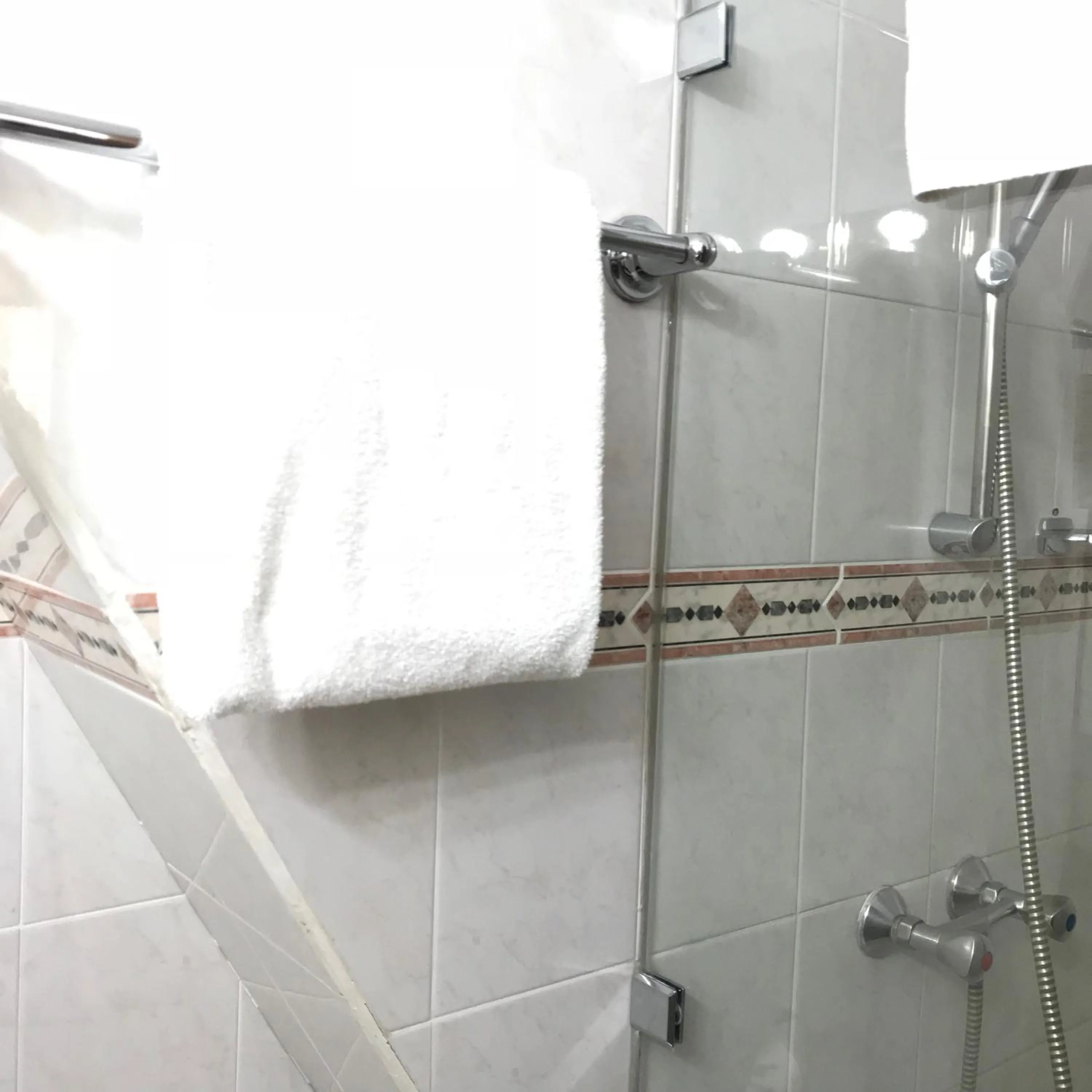 Bathroom in Hotel Gardenia Inn