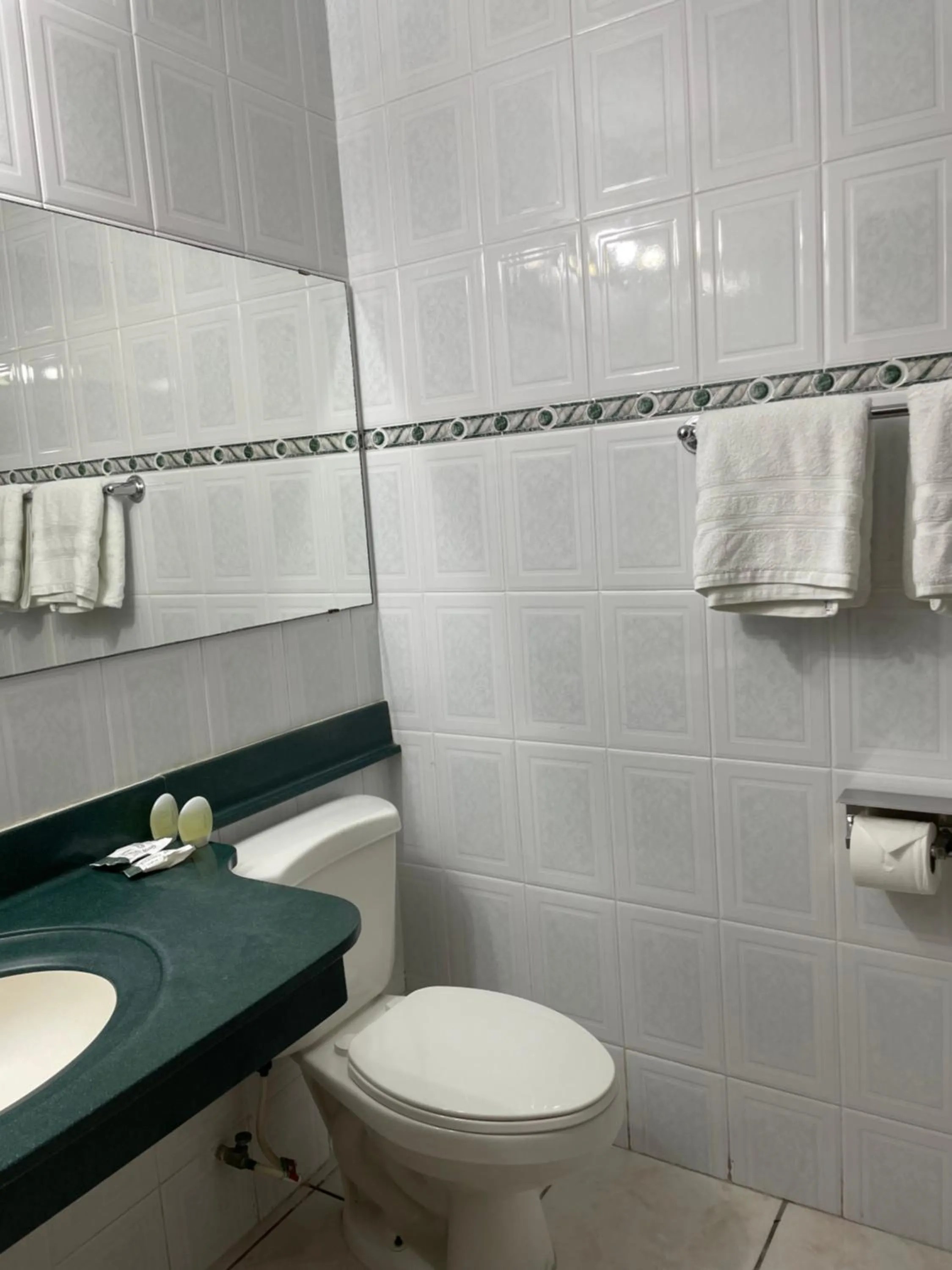 Bathroom in Hotel Gardenia Inn