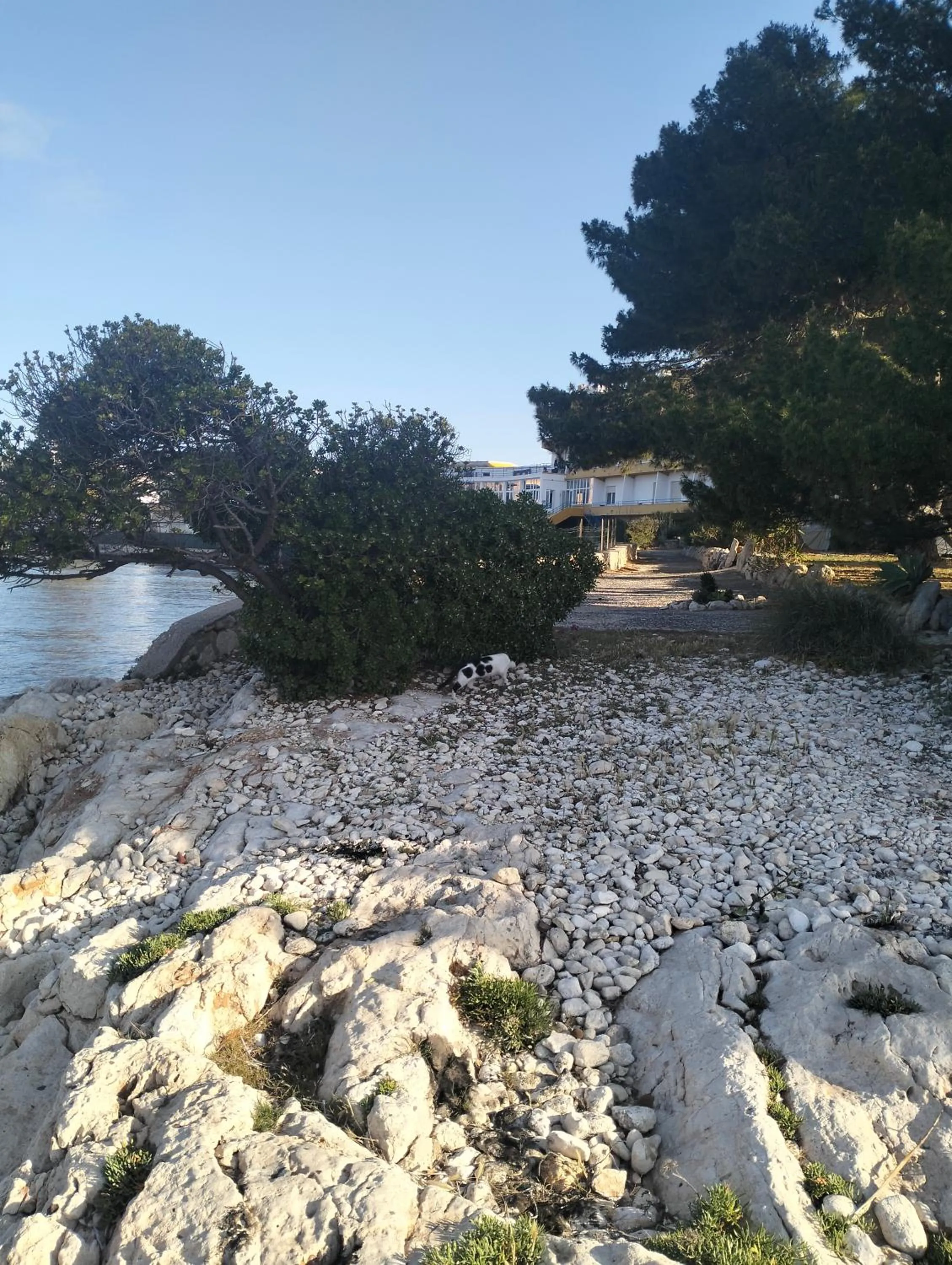 Natural landscape in Hotel Calamosca