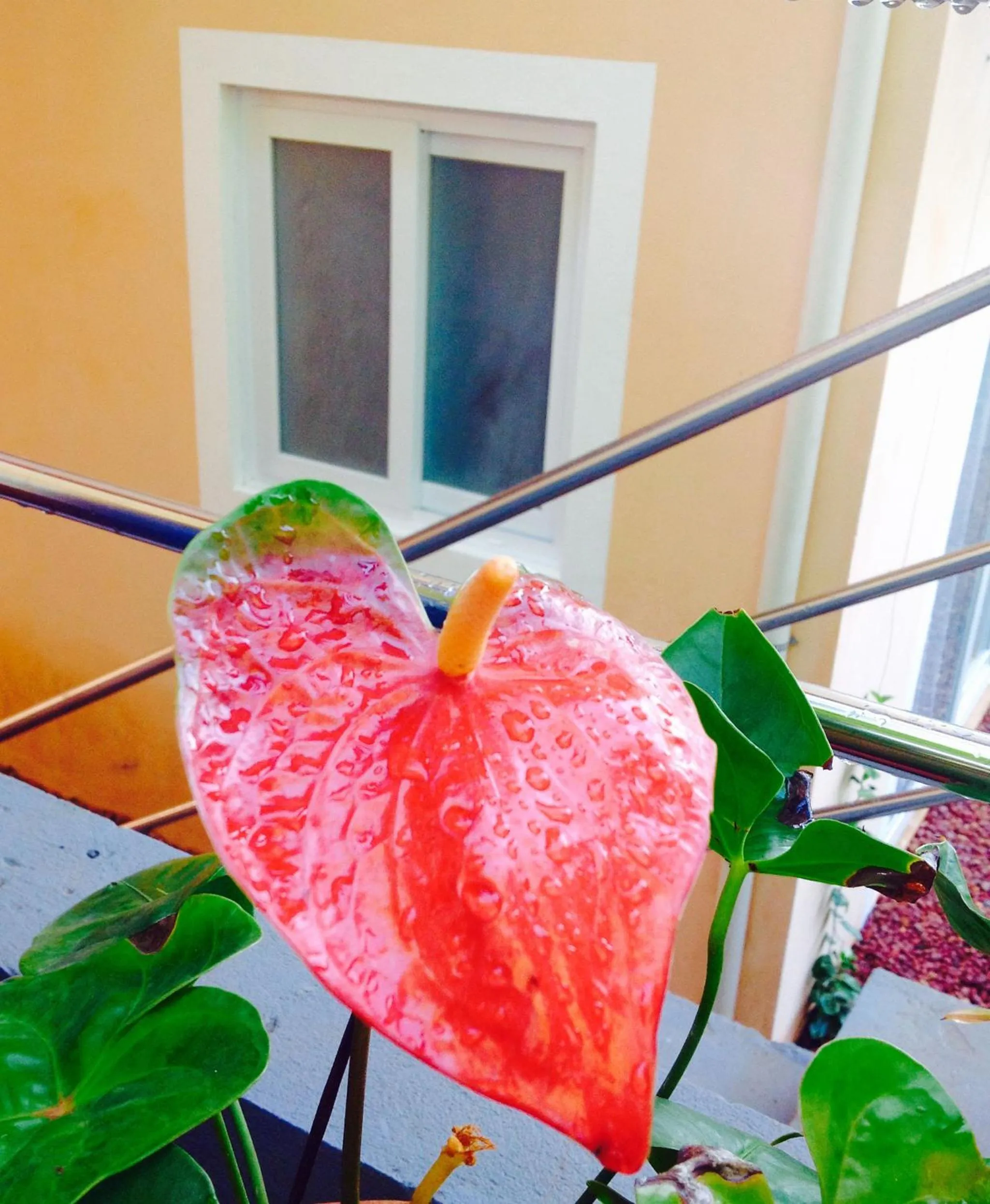 Property building in Jardim Secreto