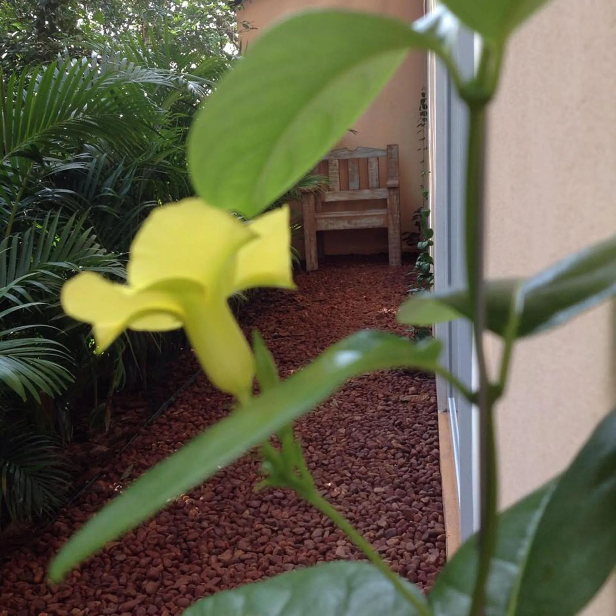 Property building in Jardim Secreto