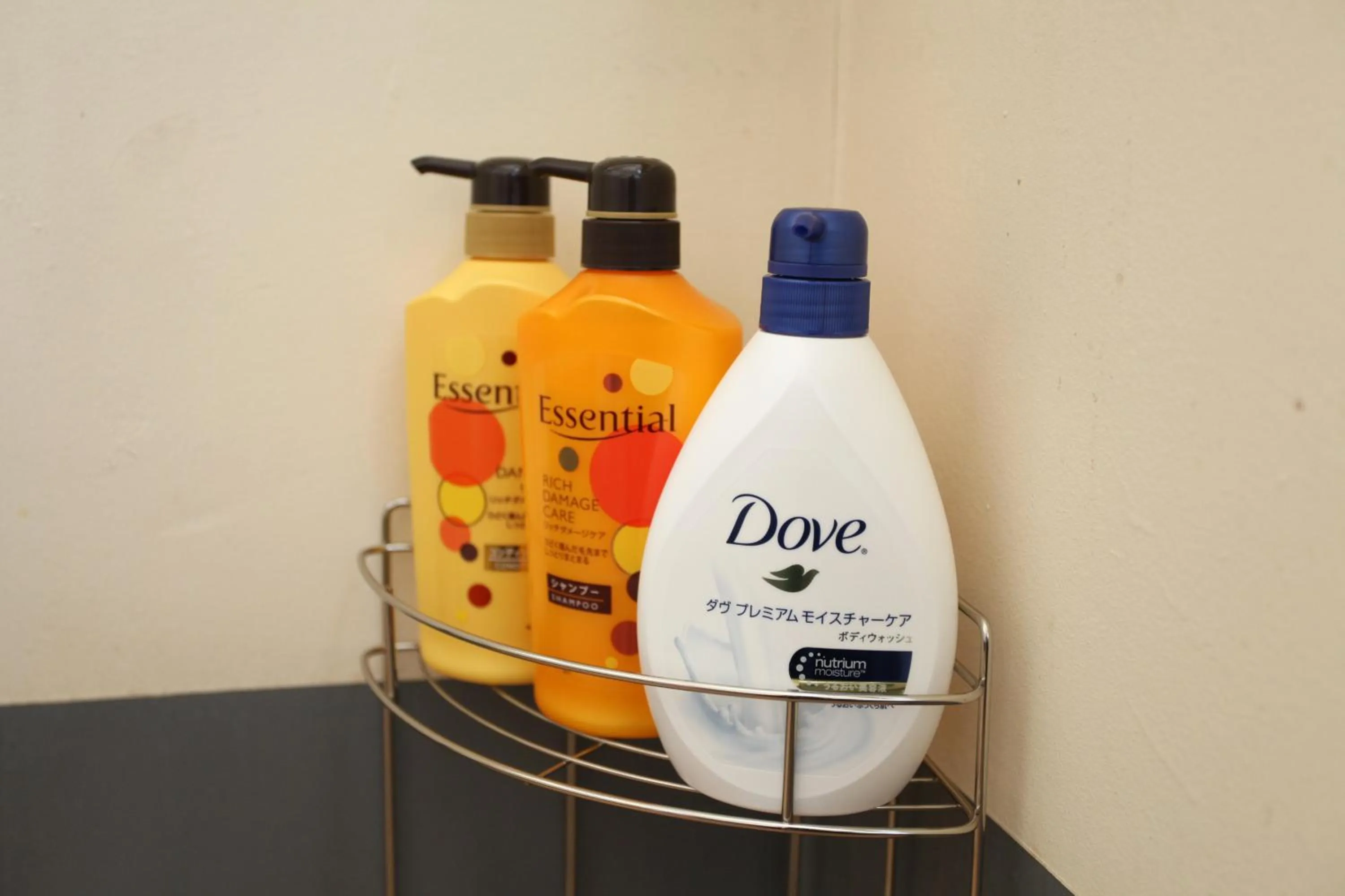 Other in Fujiyama Base