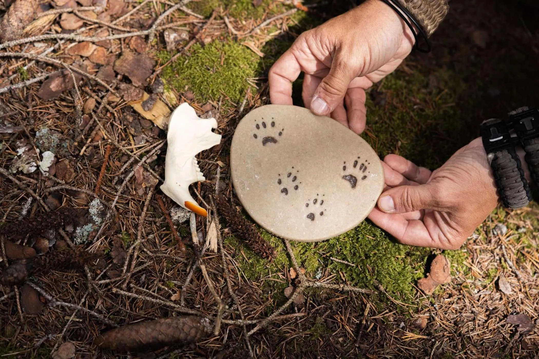 MyTime Hotels la Grotta