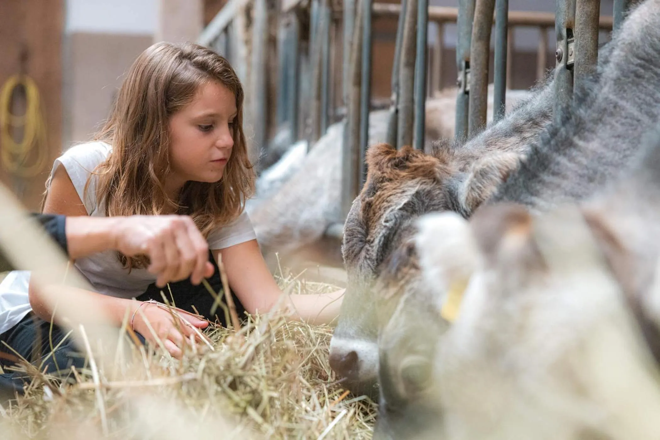 MyTime Hotels la Grotta