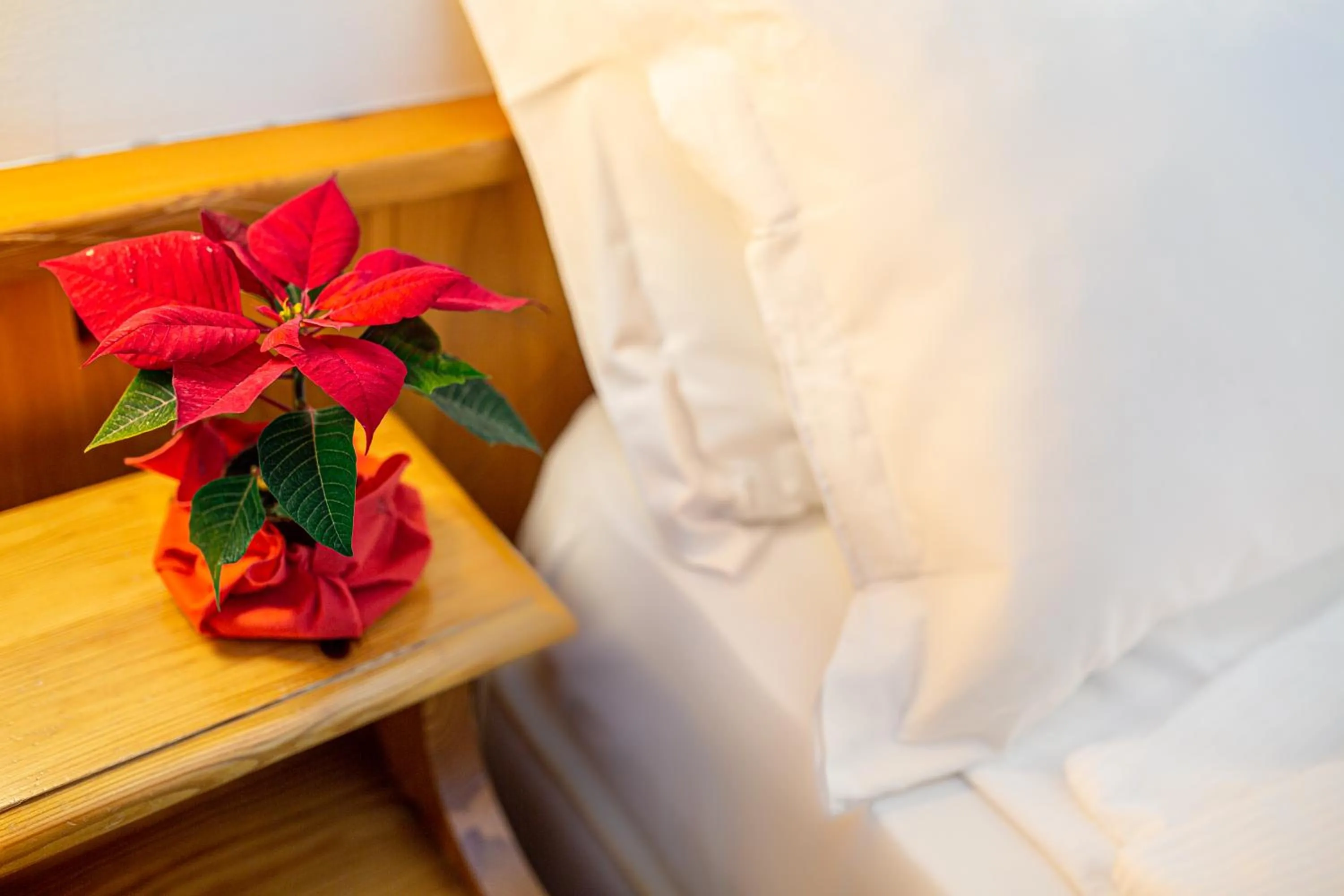 Property building, Bed in Hotel Nigritella