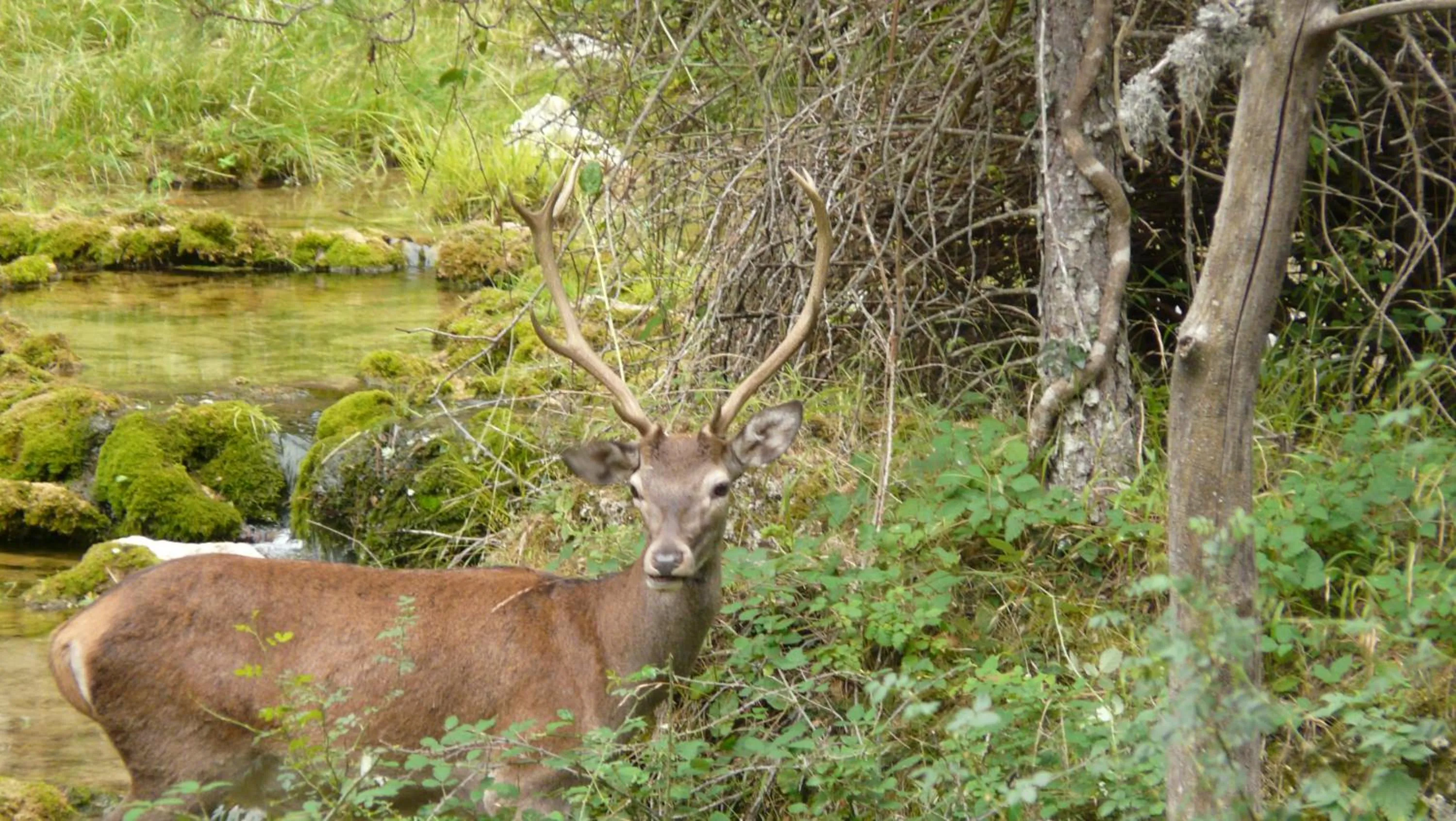 Activities in Apartamentos Rurales Campillo