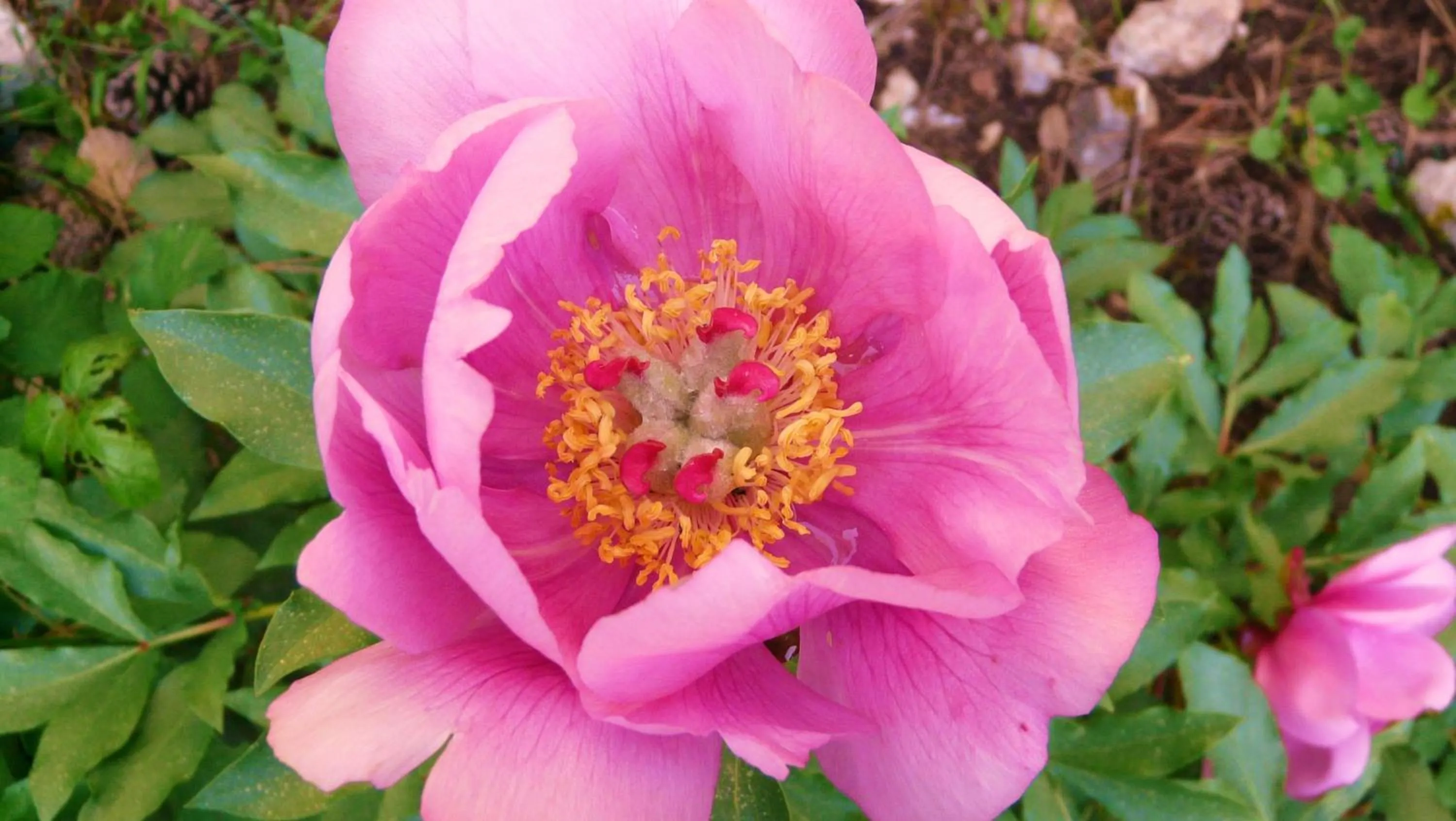 Activities in Apartamentos Rurales Campillo