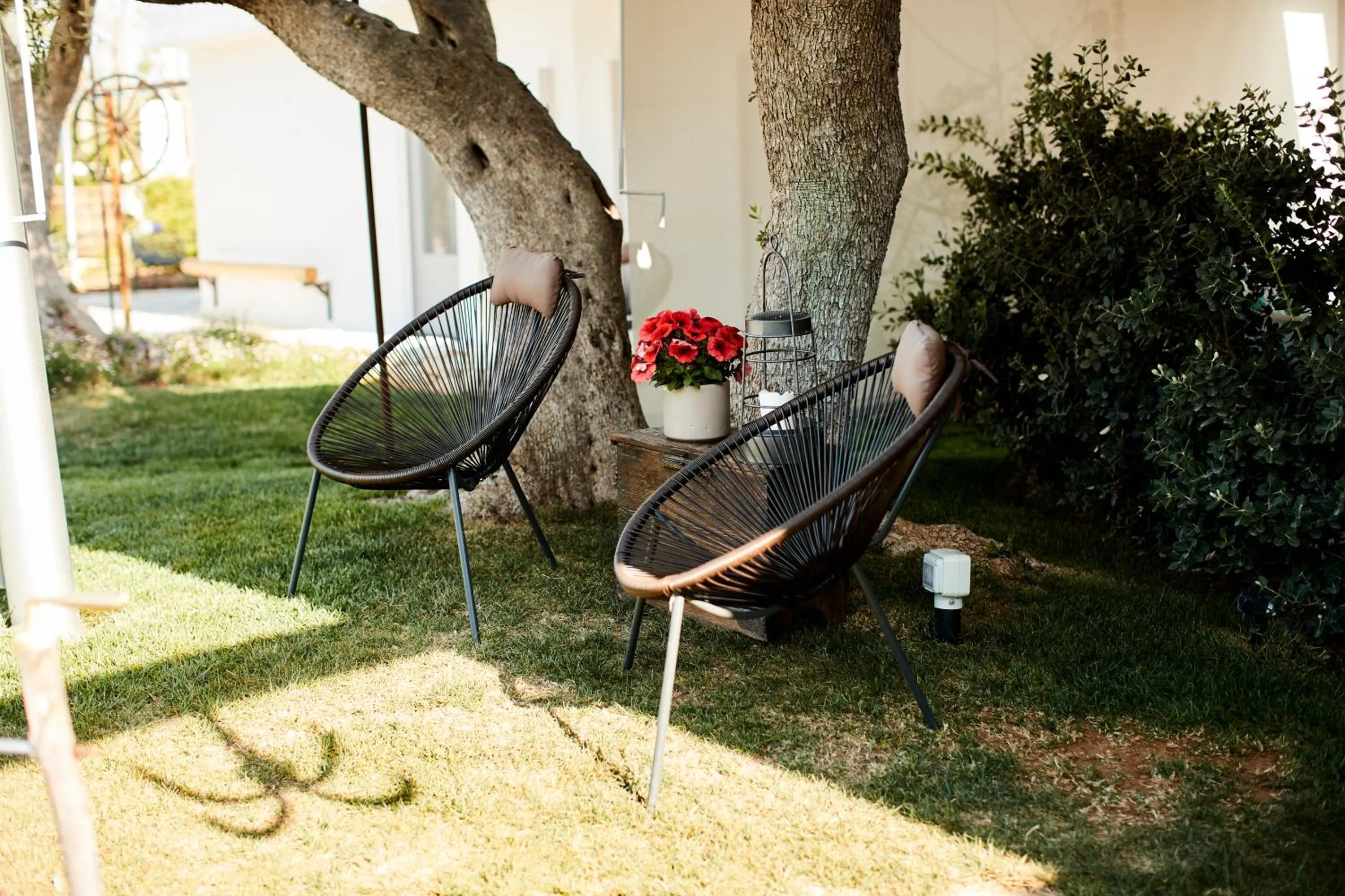 Patio in Echi di Puglia