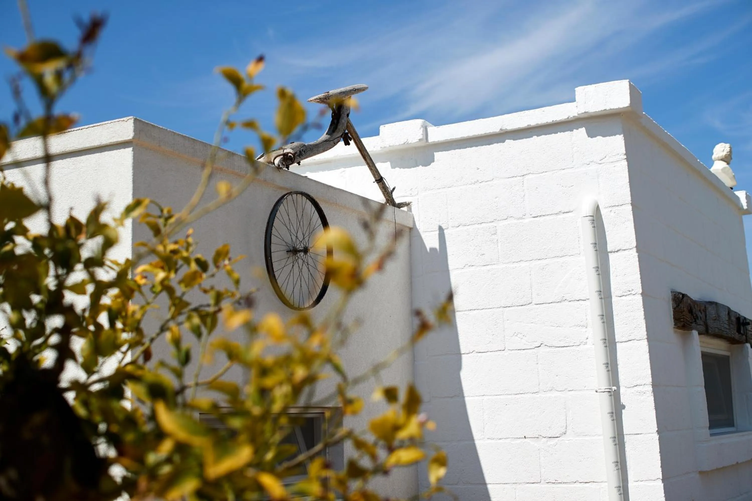 Garden in Echi di Puglia