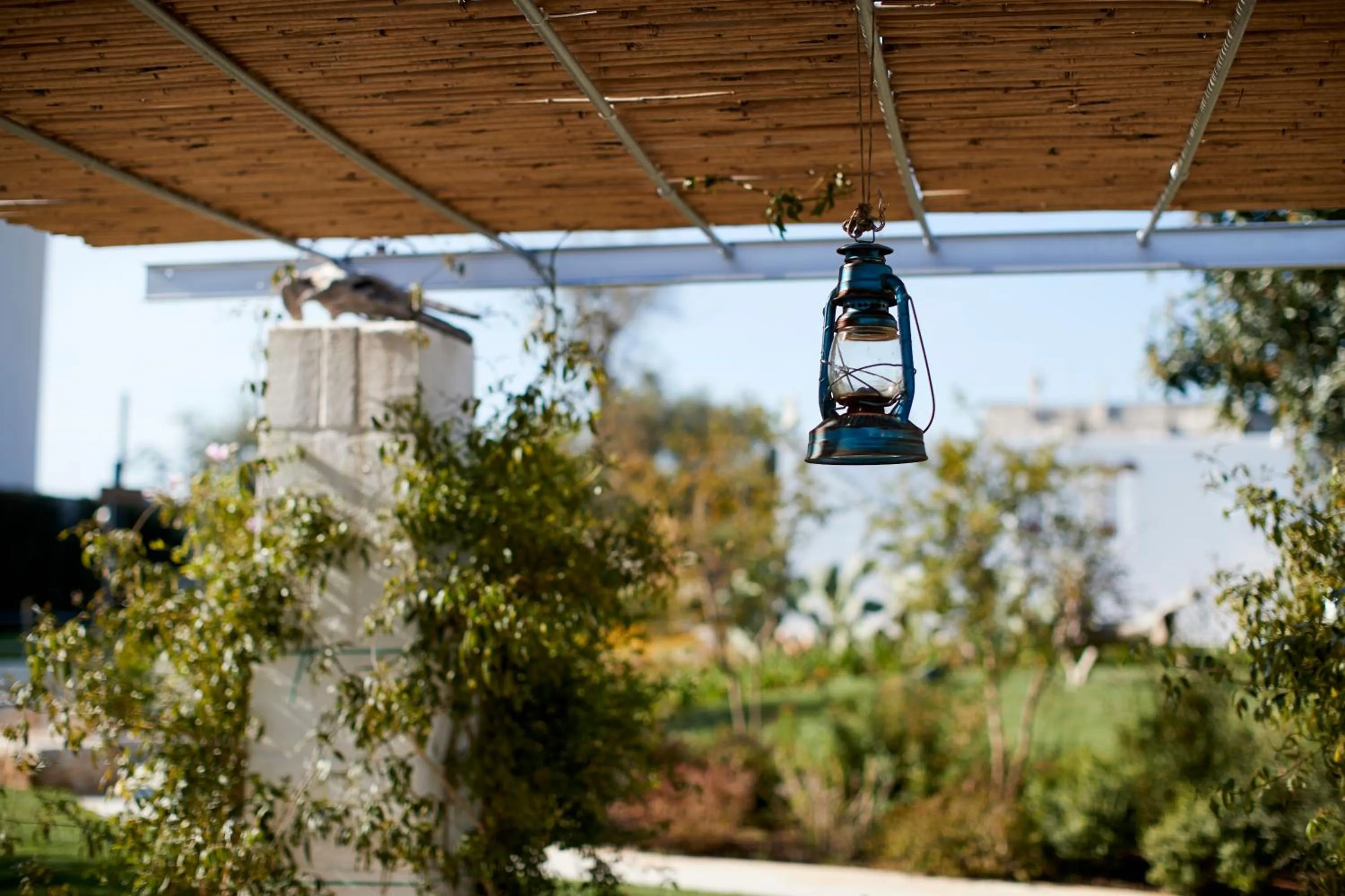 Garden in Echi di Puglia