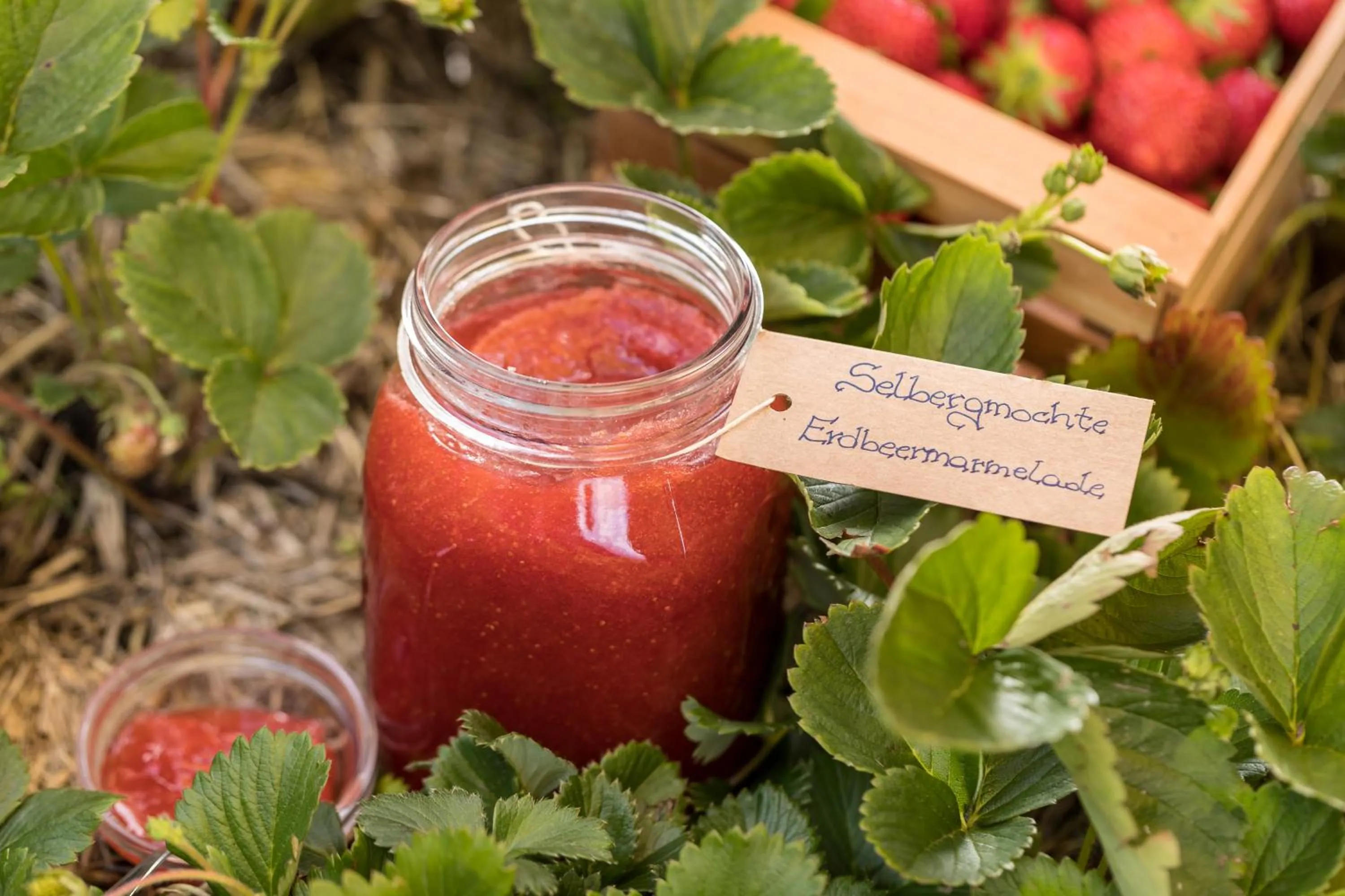 Food close-up in Mounthotel Niggl