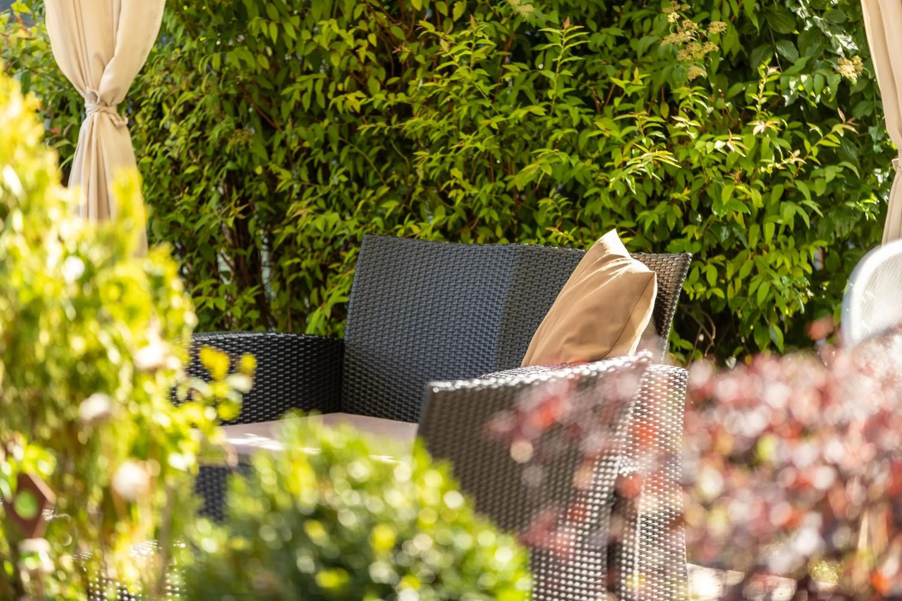 Garden in Mounthotel Niggl