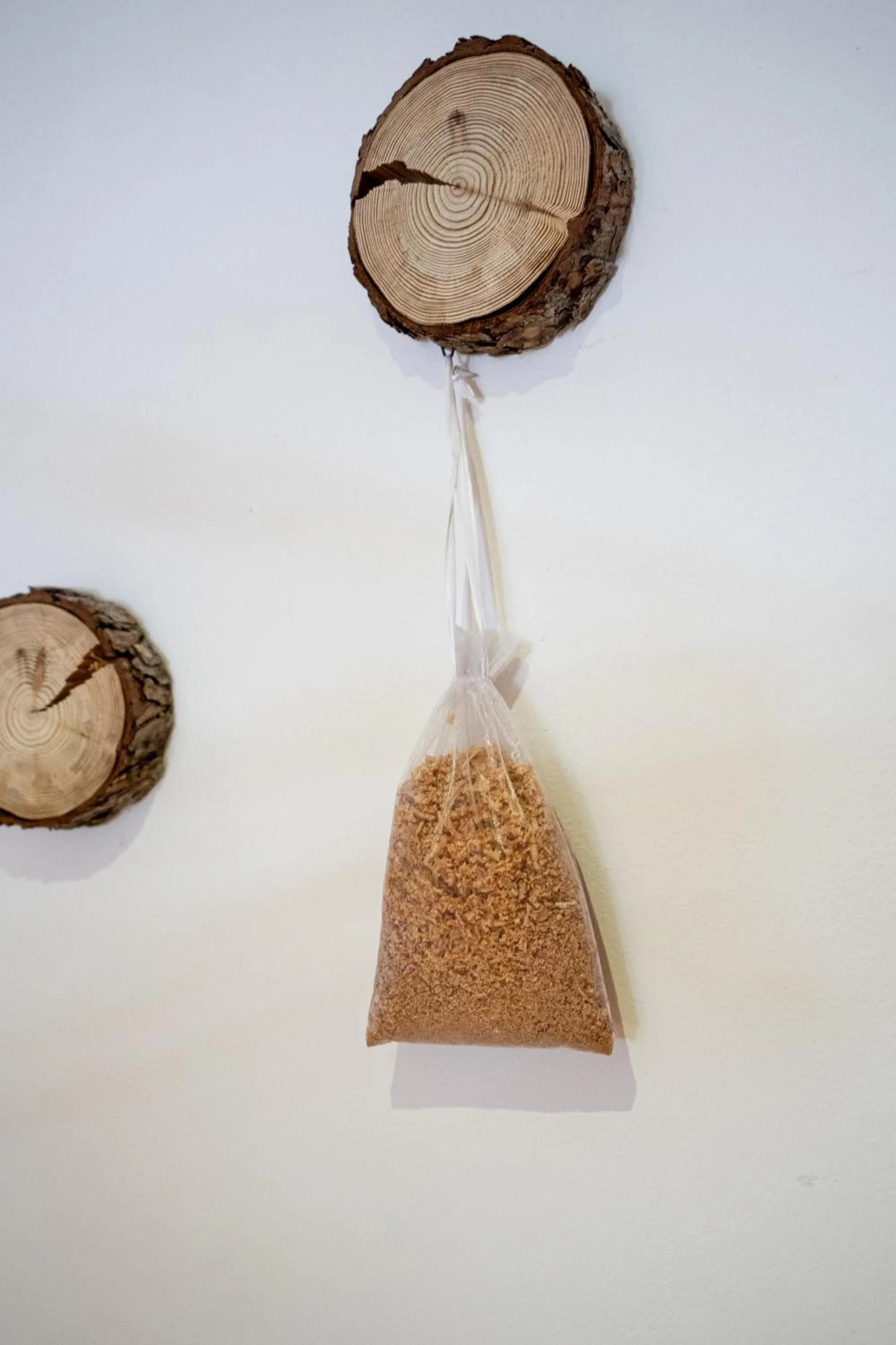 Property building in Hotel Dahu