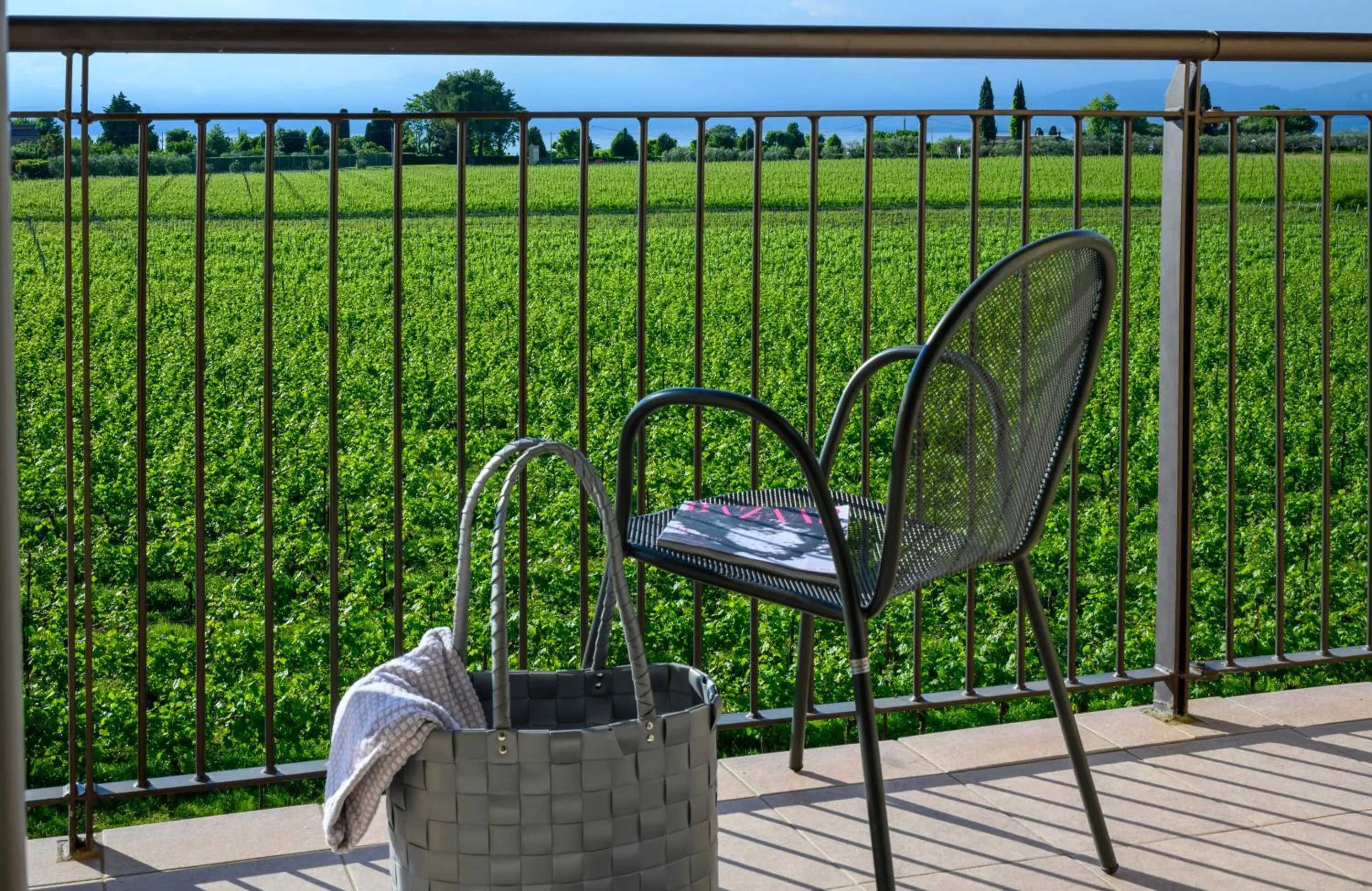 Balcony/Terrace in Leonardo Hotel Lago di Garda - Wellness and Spa
