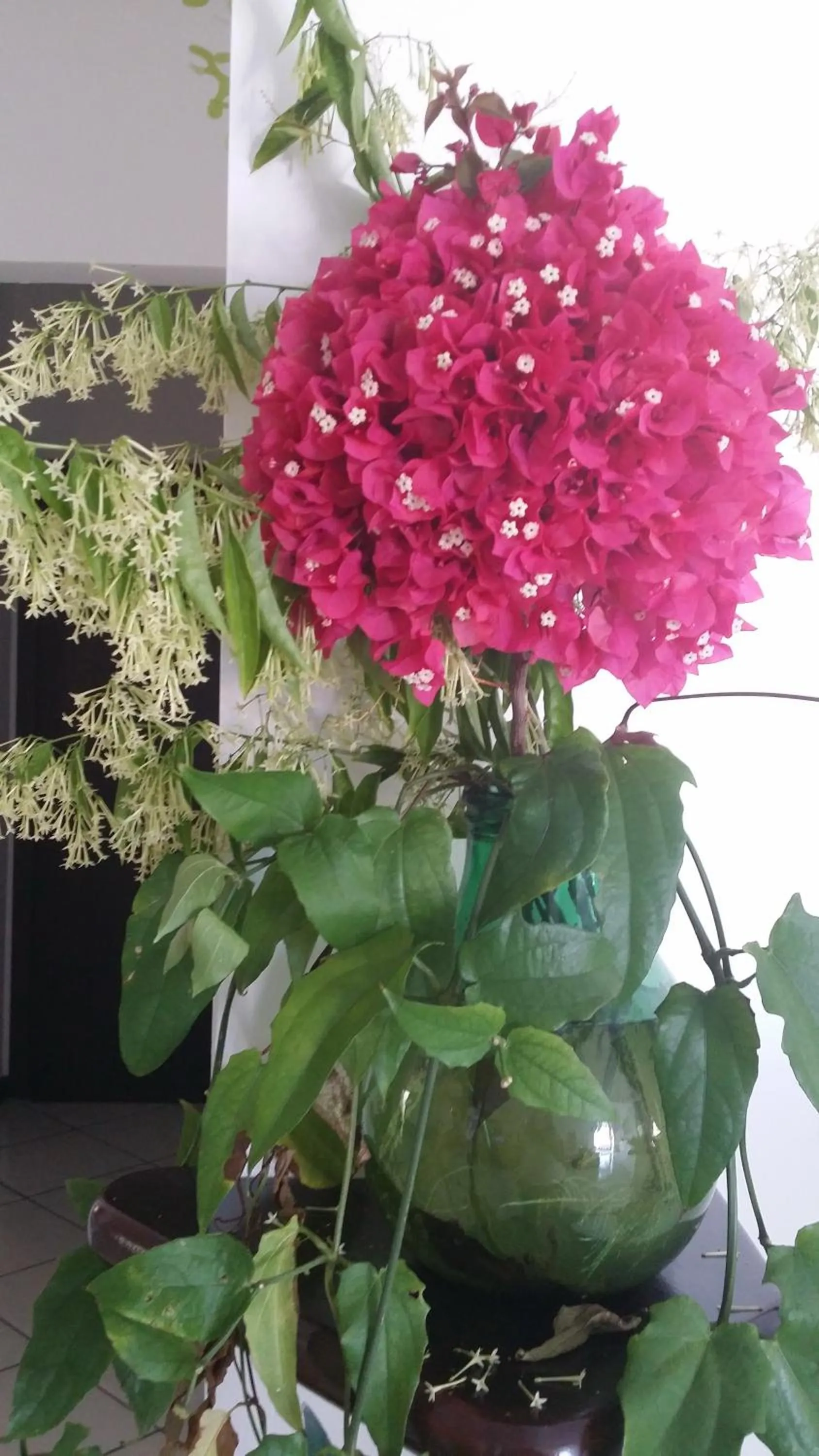 Day in La Zagara Hotel