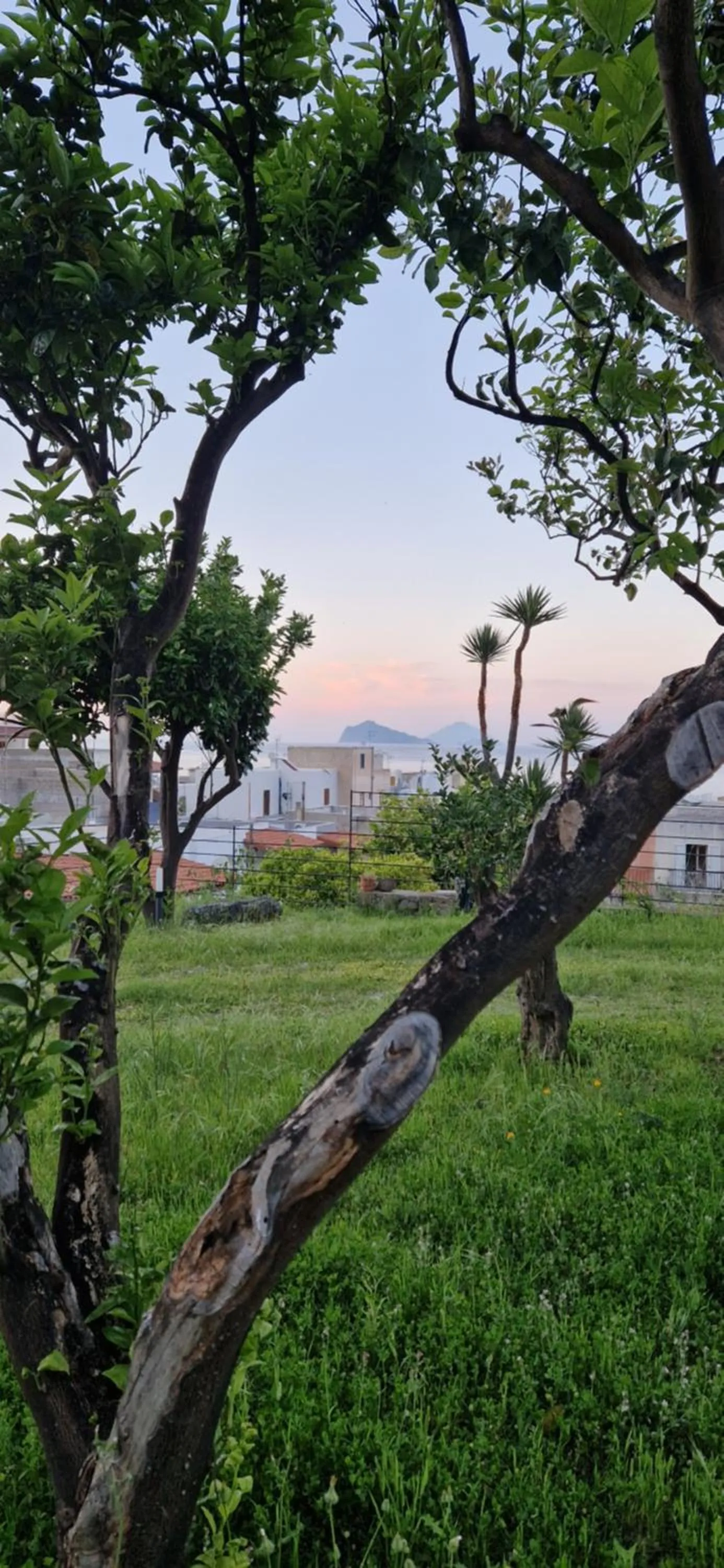 Garden view in La Zagara Hotel