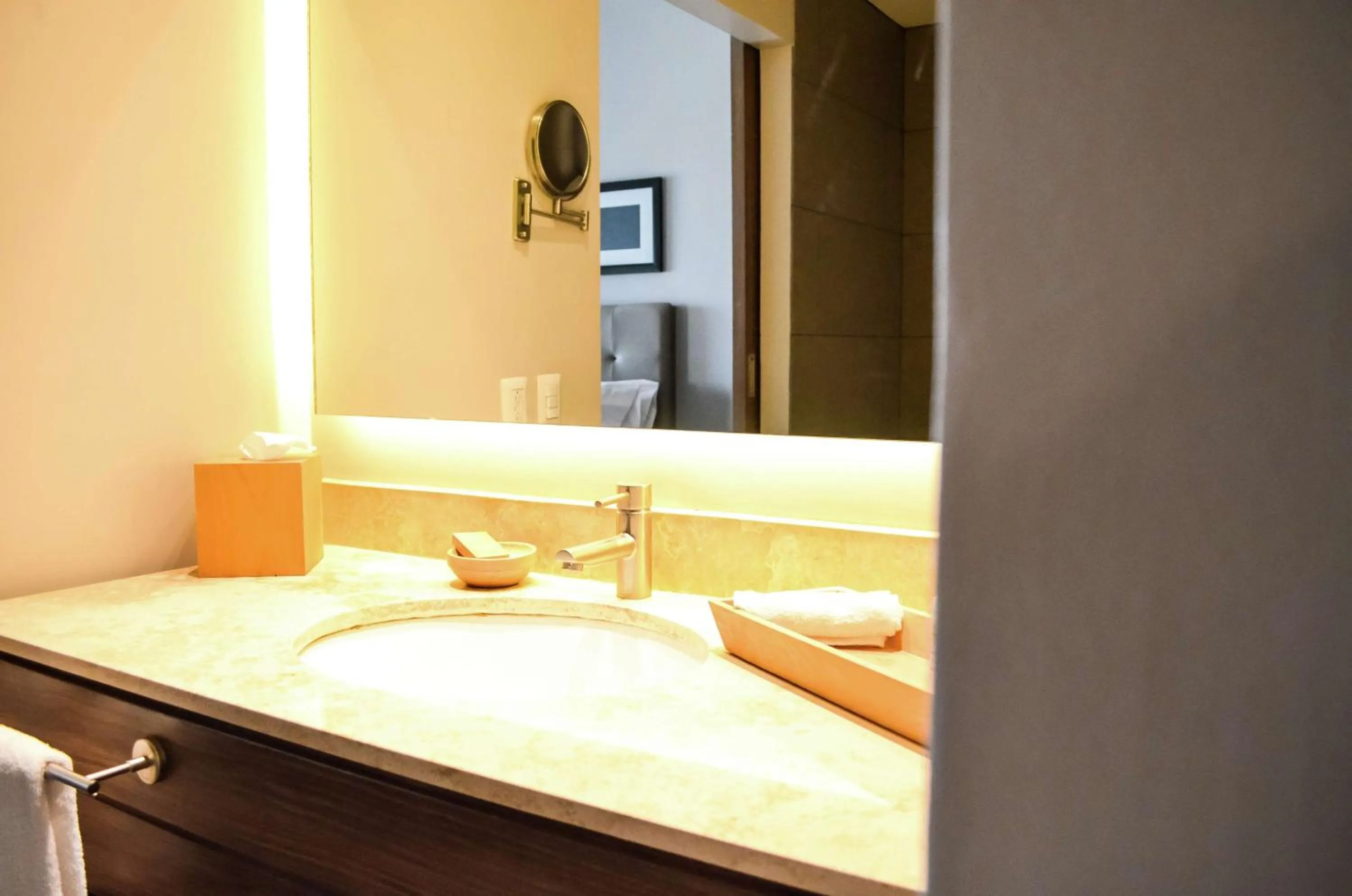 Bathroom, Bed in Hampton Inn by Hilton Durango