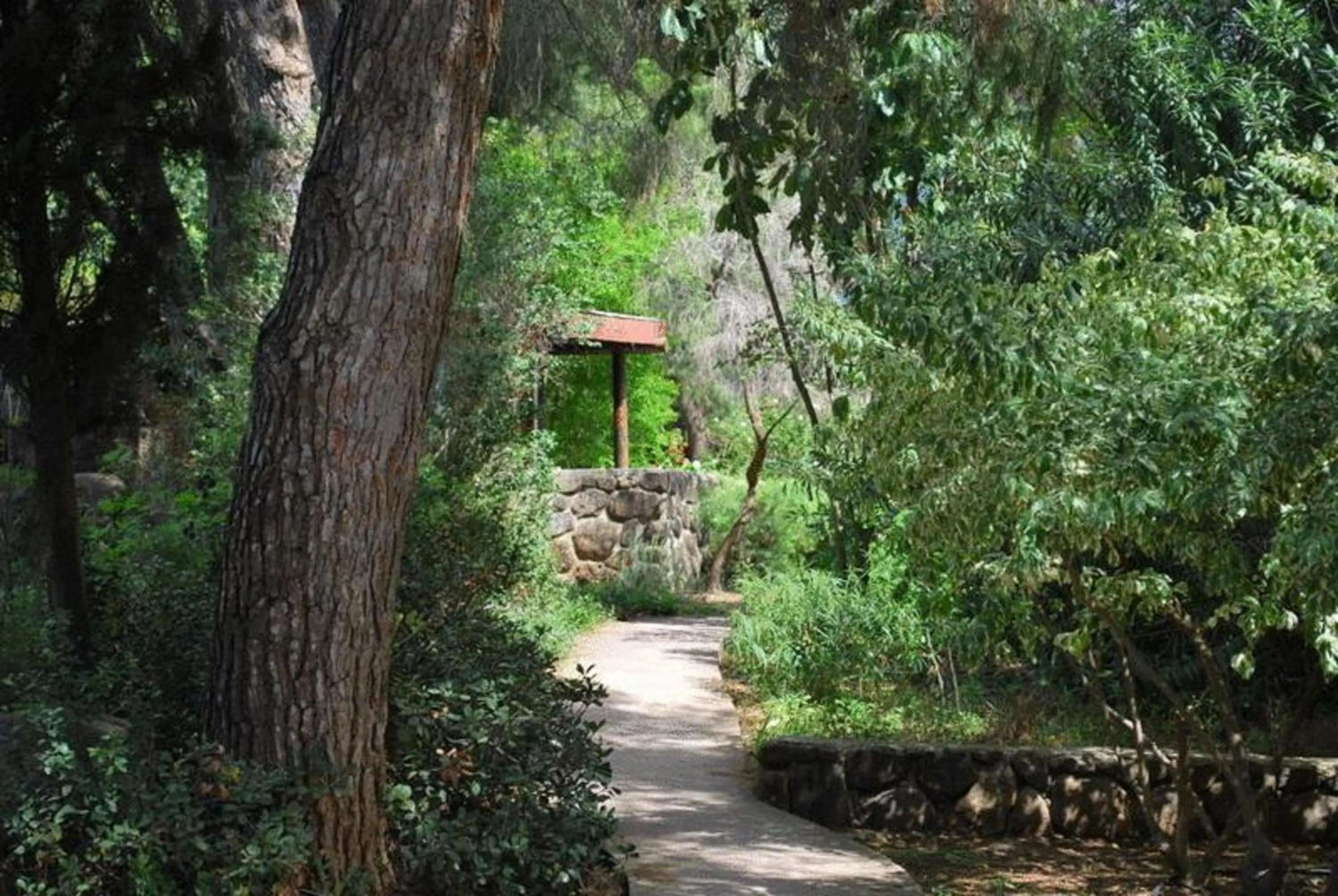 Garden in Vered Hagalil Holiday Village Hotel