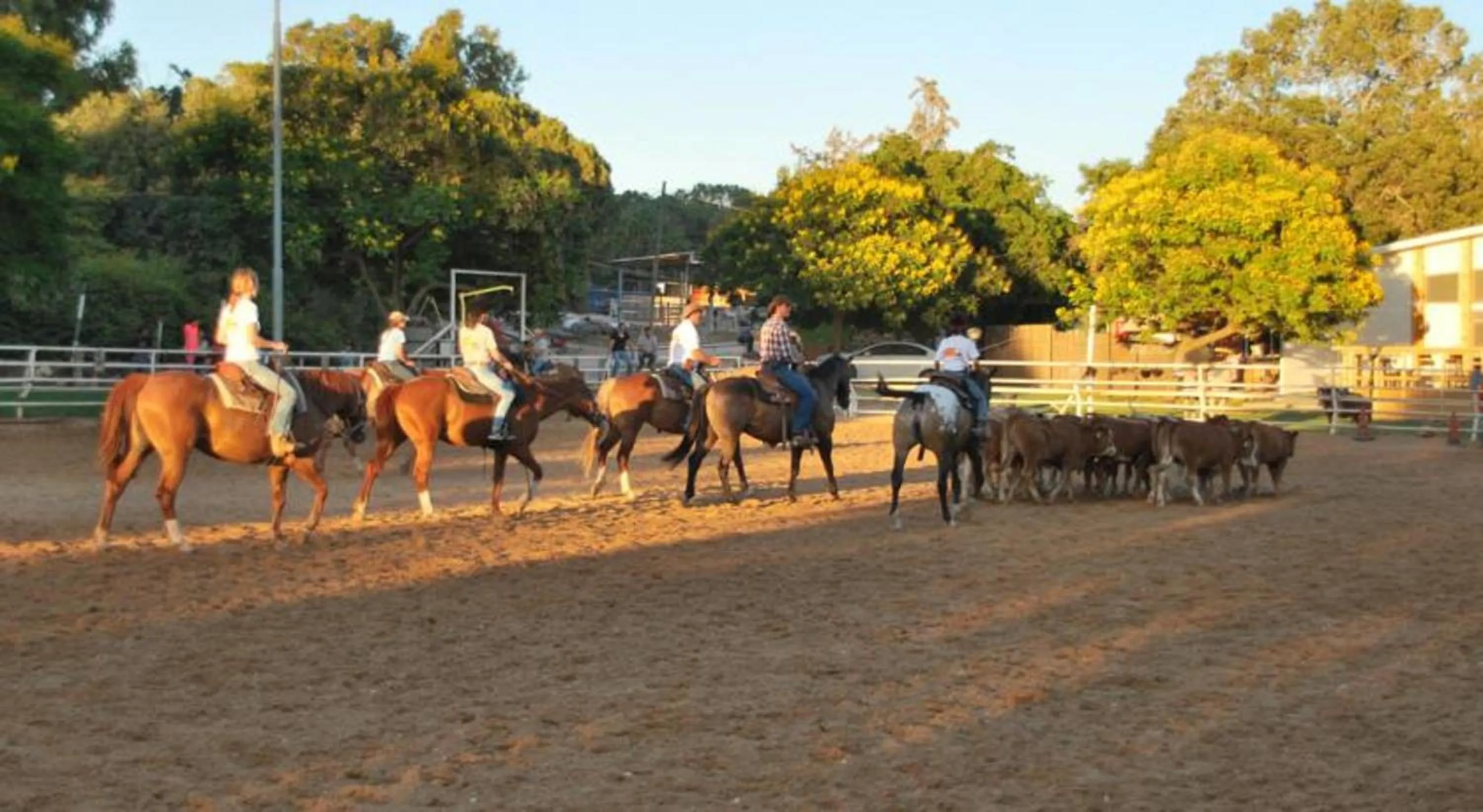 Horse-riding in Vered Hagalil Holiday Village Hotel