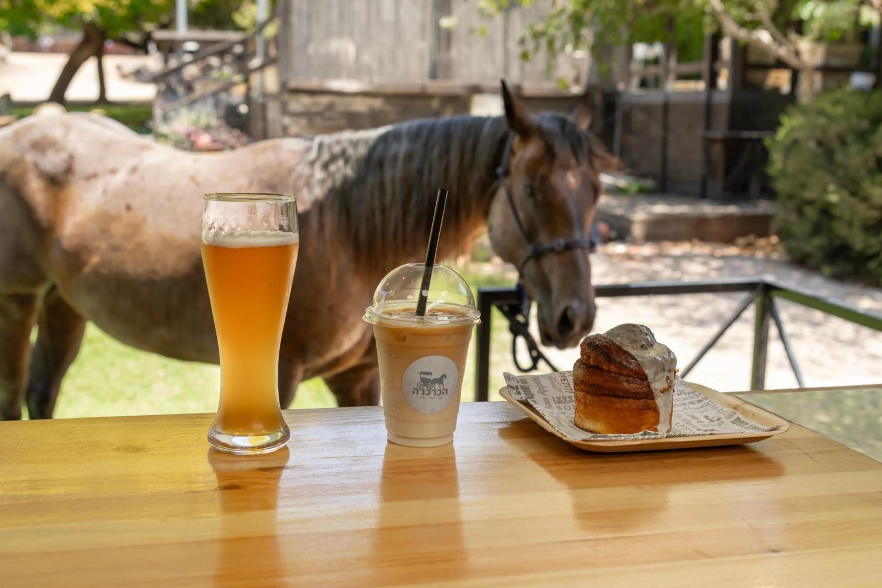 Vered Hagalil Holiday Village Hotel