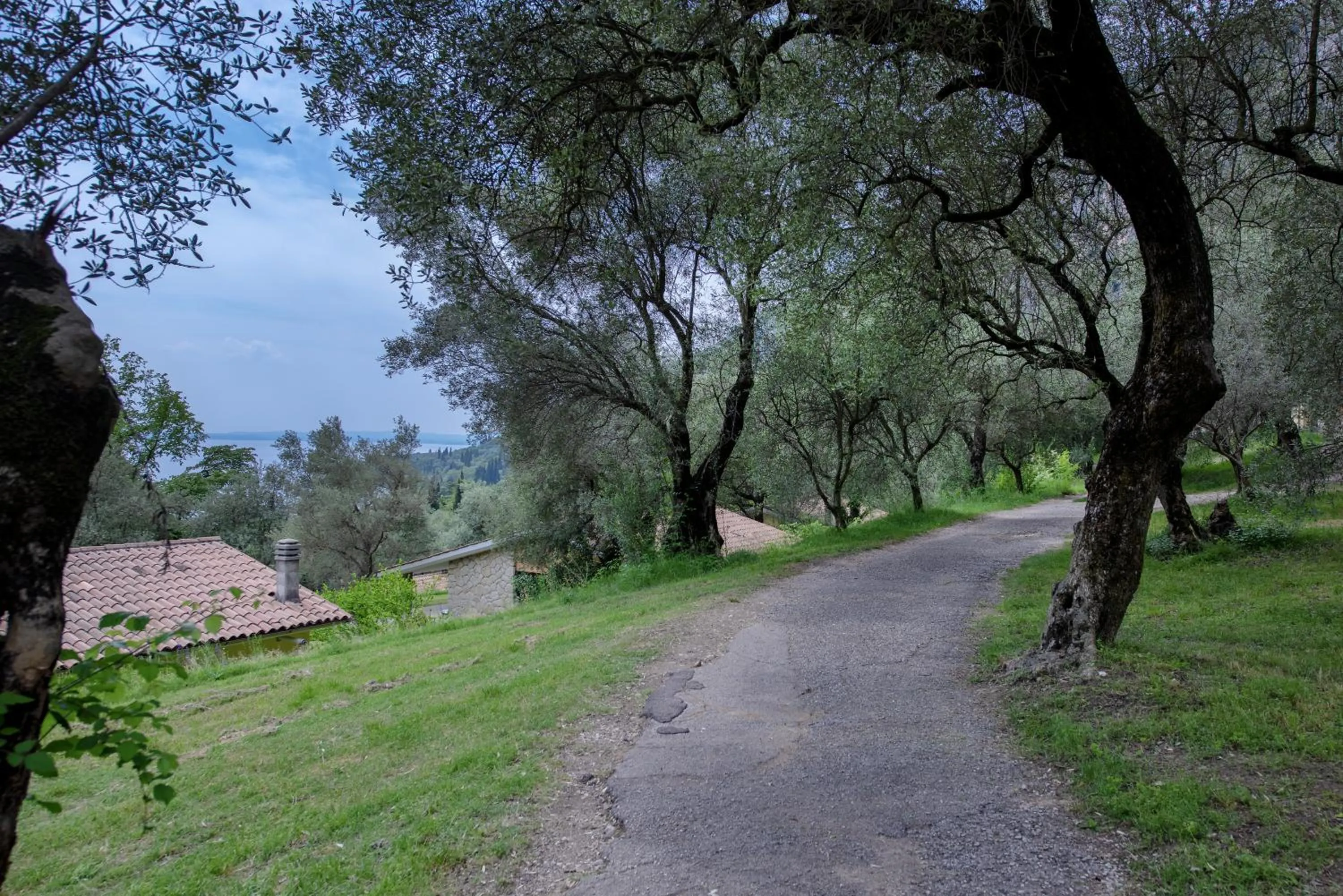 Natural landscape in Residence Parco Del Garda