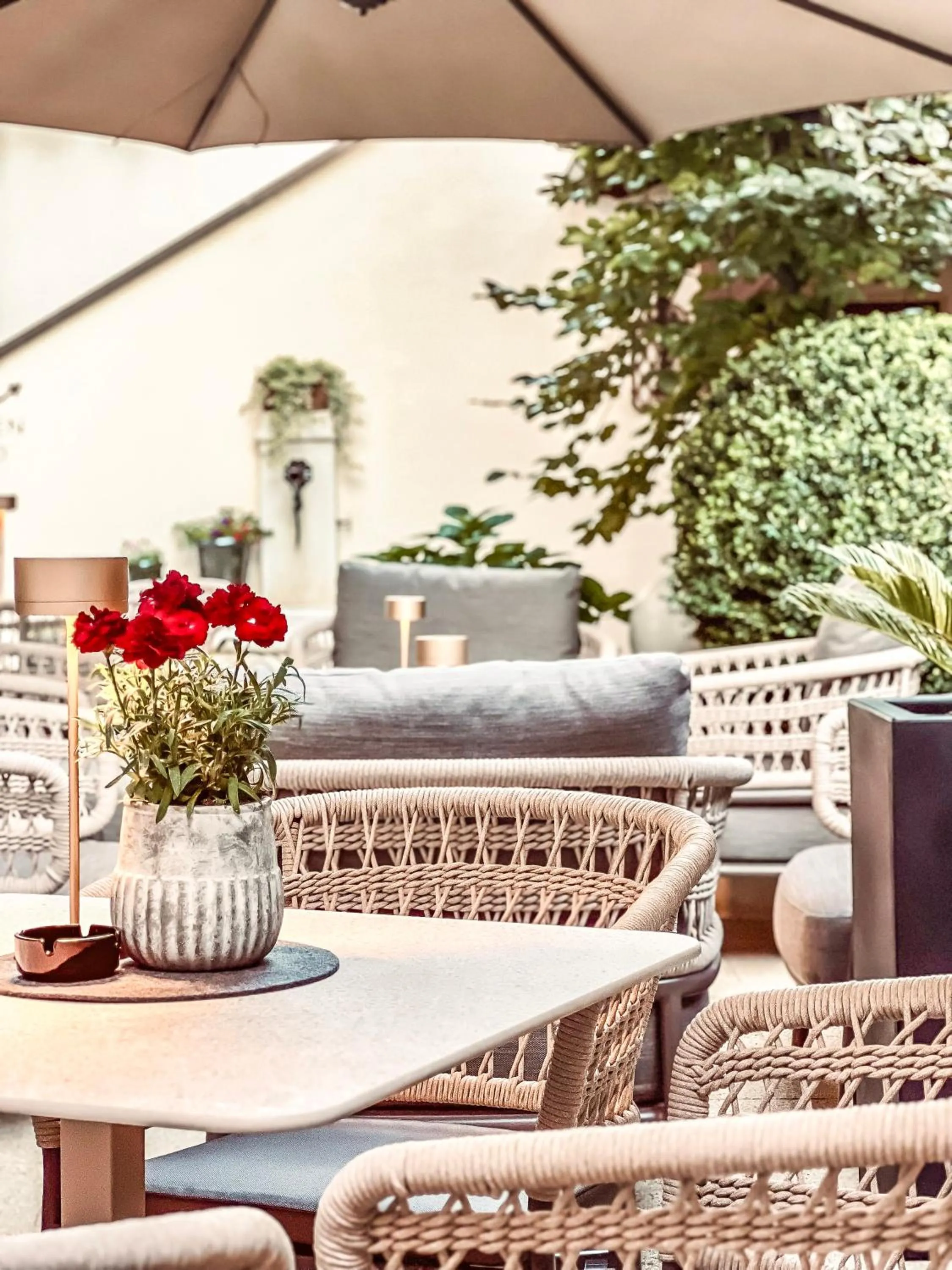 Restaurant/places to eat in Hotel Luna Mondschein