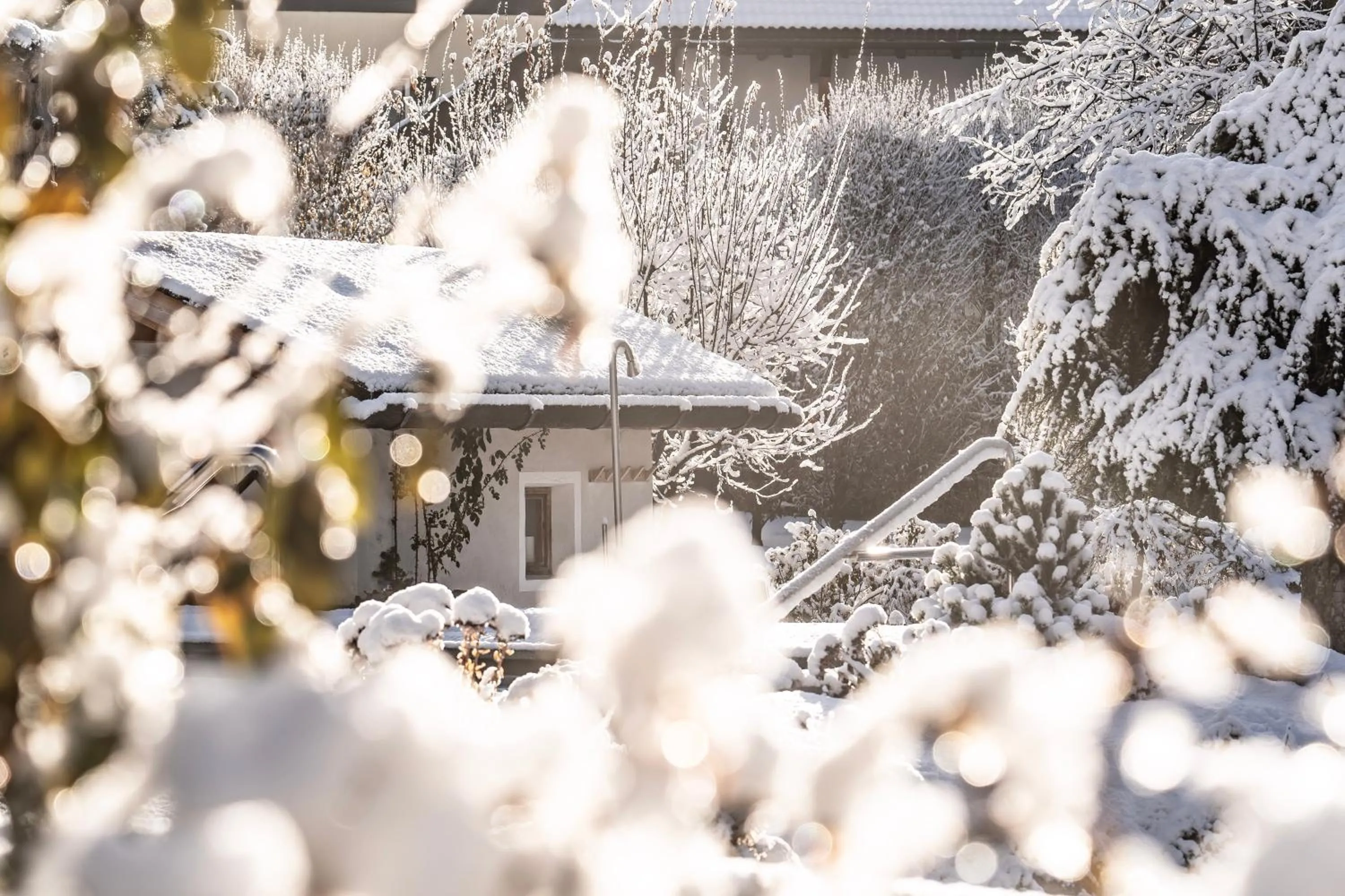 Garden in Hotel Luna Mondschein