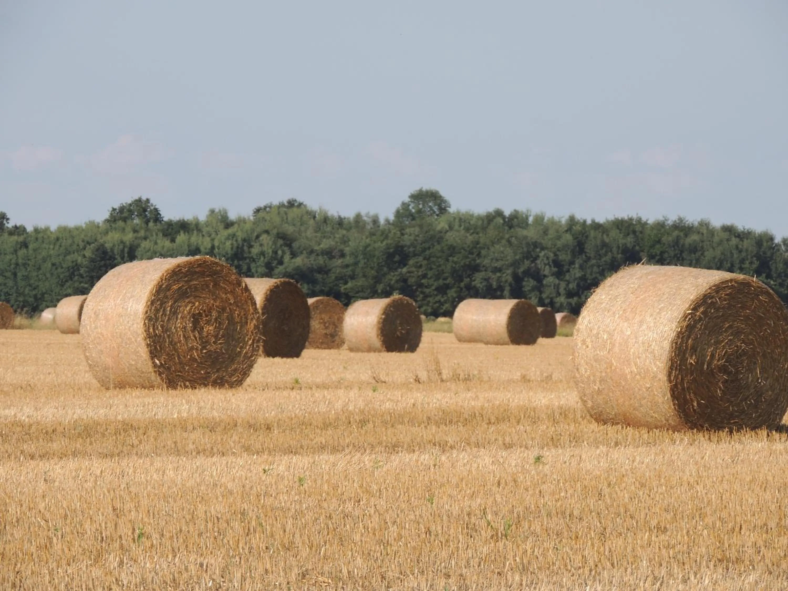 chambres d'hôtes le Boyer