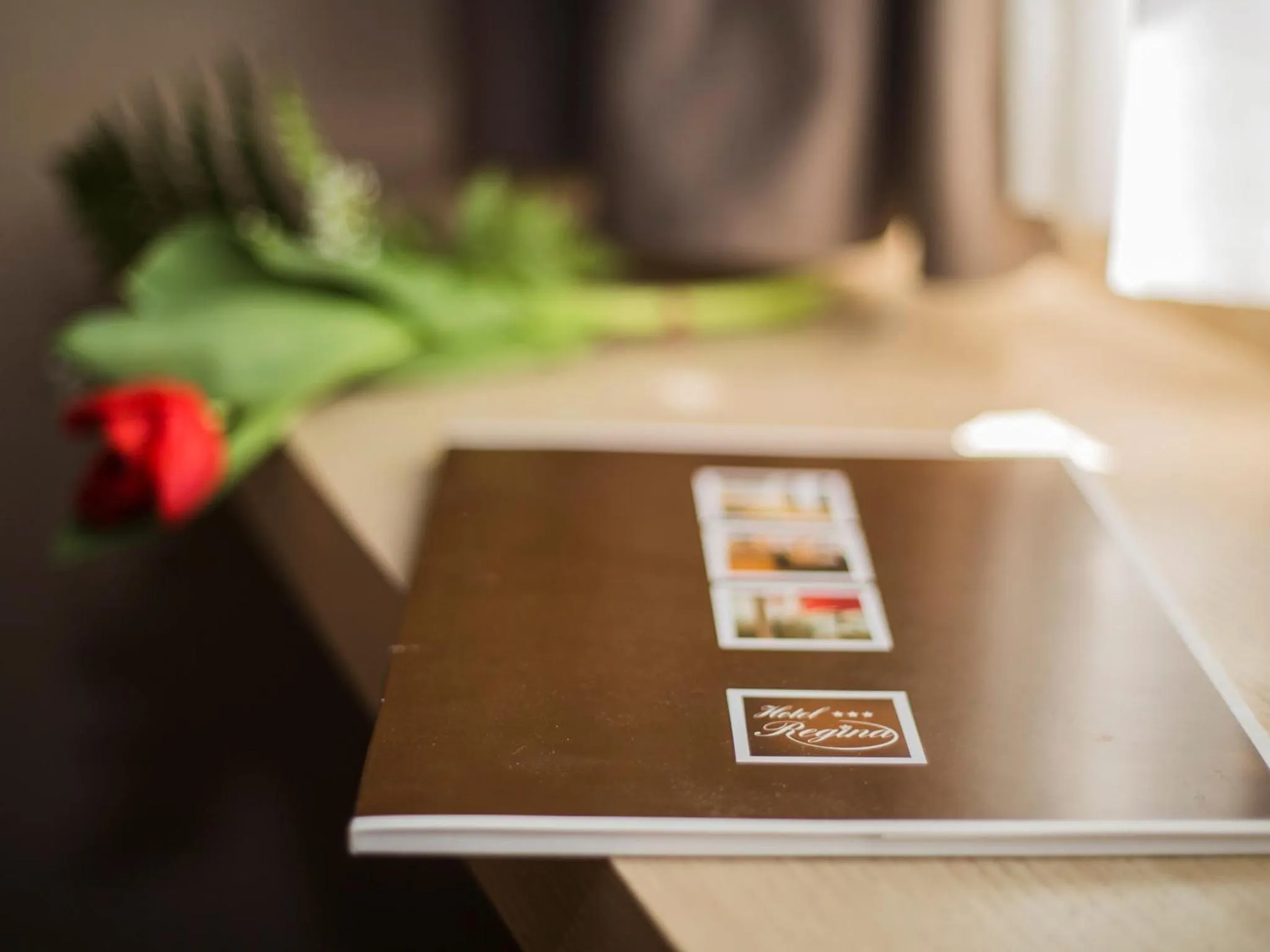 Decorative detail in Hotel Regina