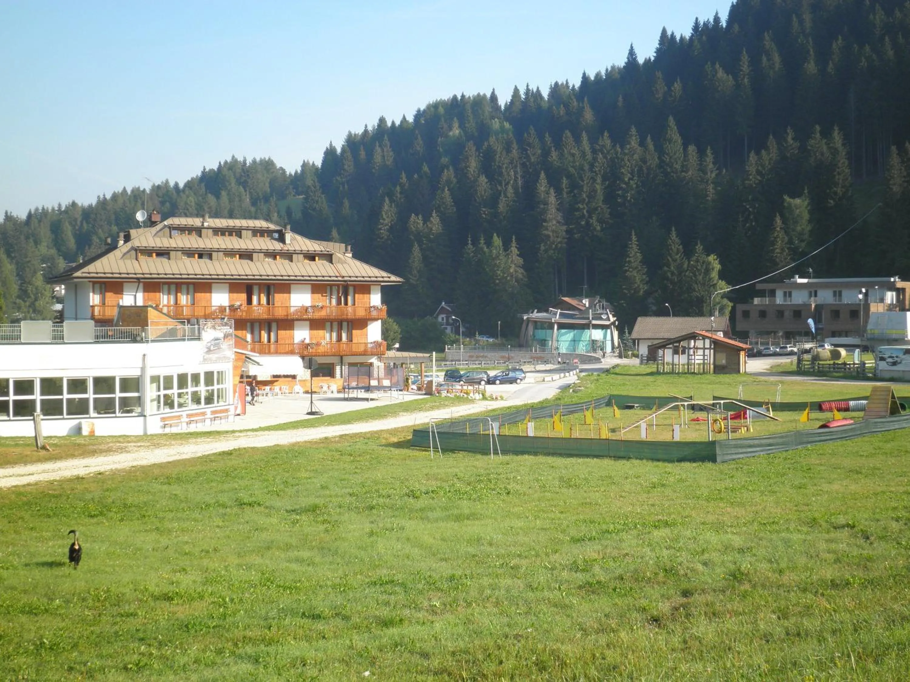 Animals in Hotel Cristallo