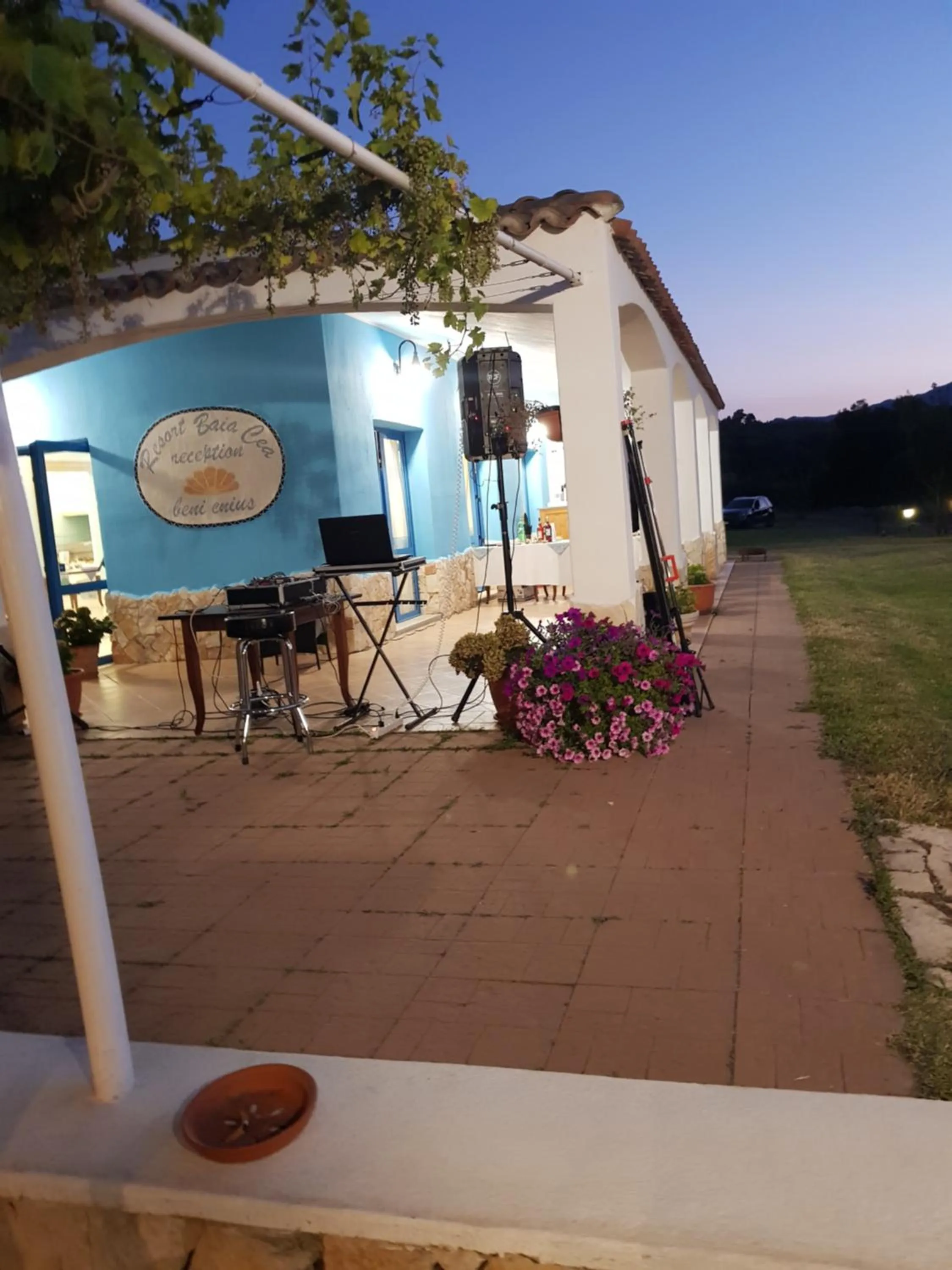 Evening entertainment in Hotel Baia Cea