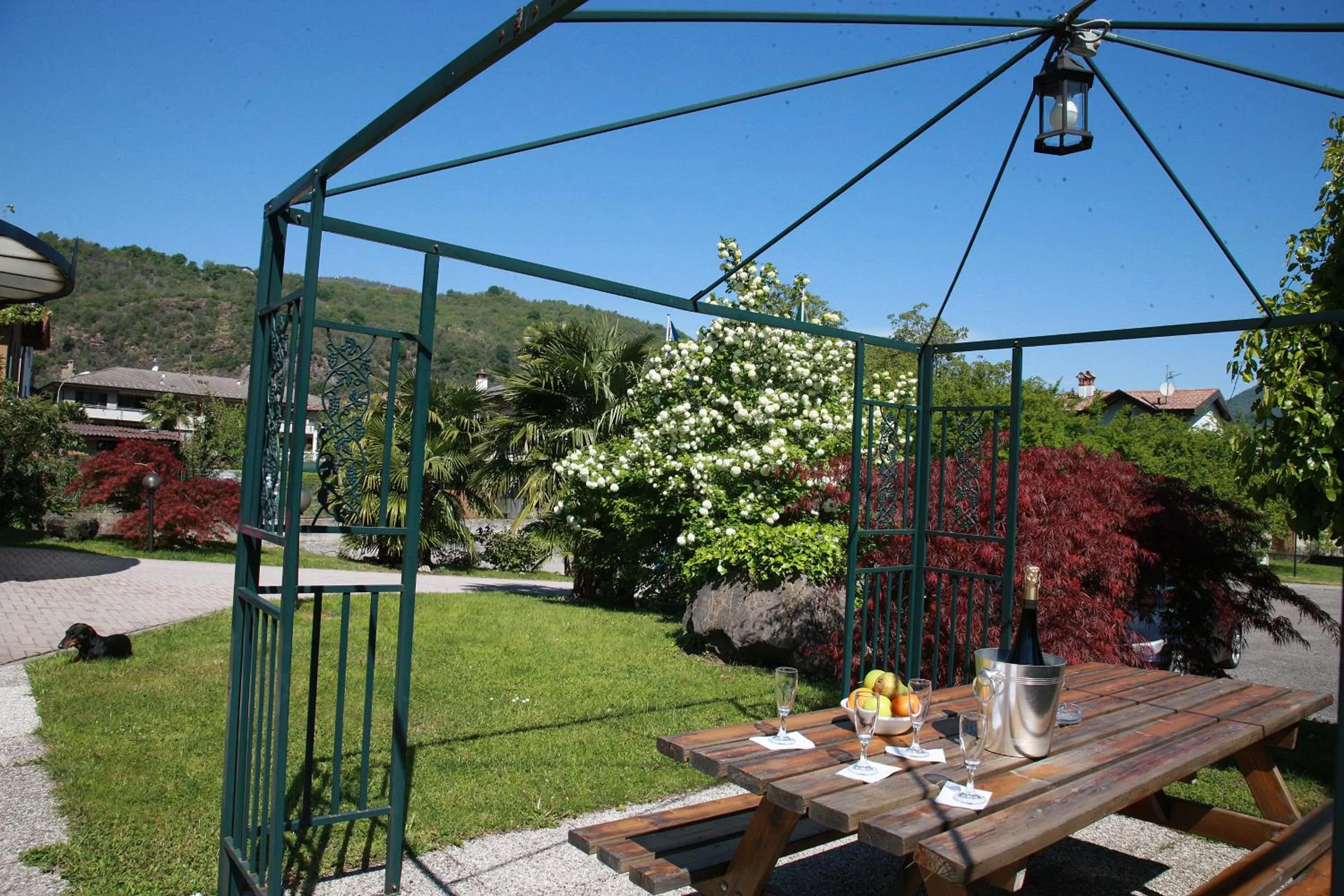 Garden in Hotel Il Canneto