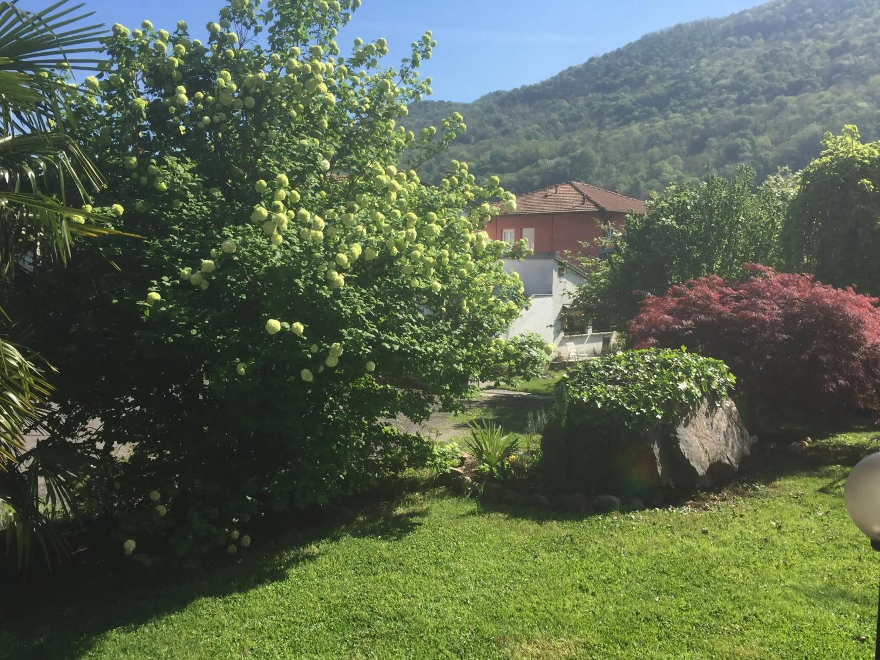 Natural landscape in Hotel Il Canneto