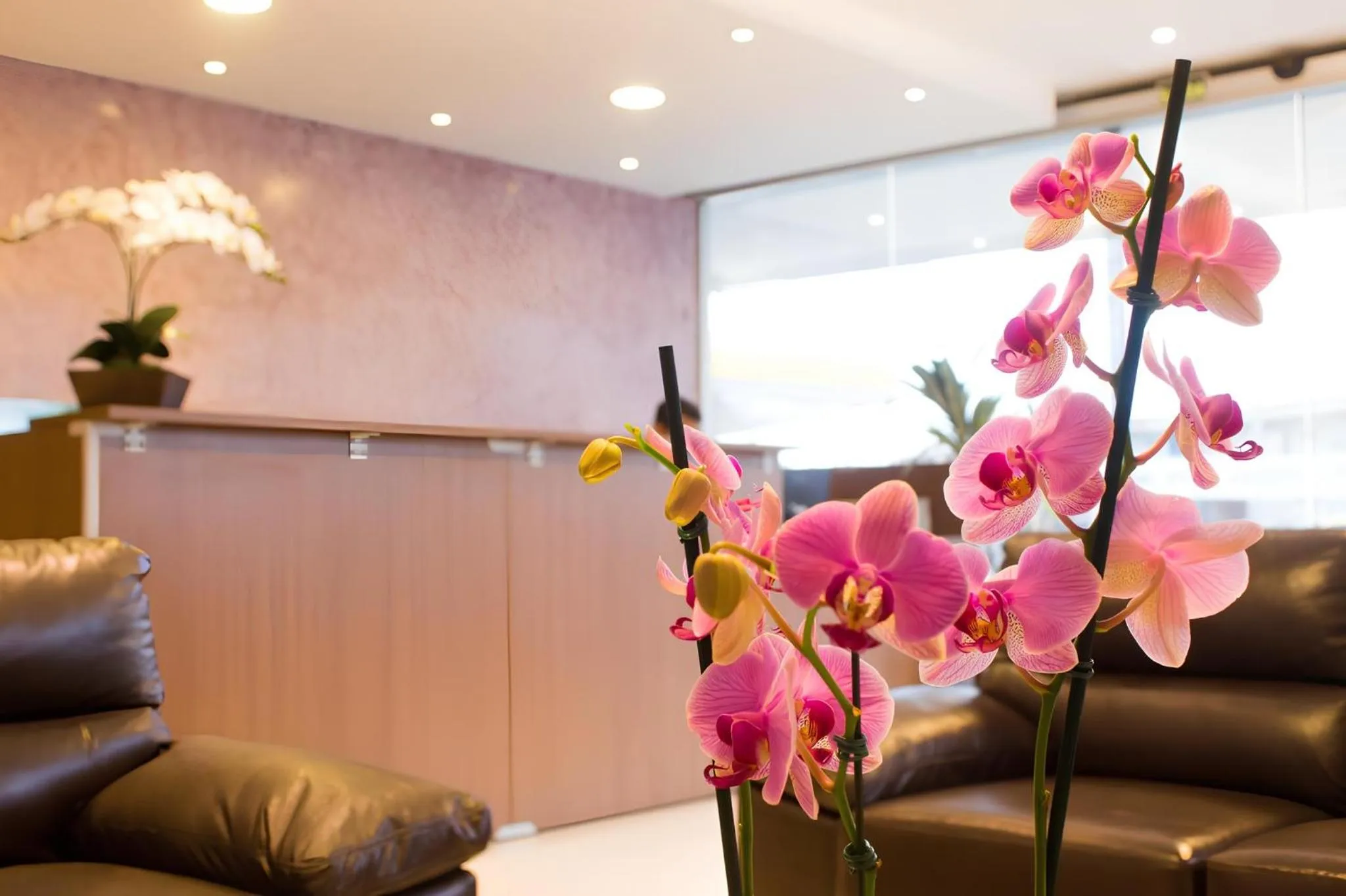 Lobby or reception in Hotel Toyo Inn