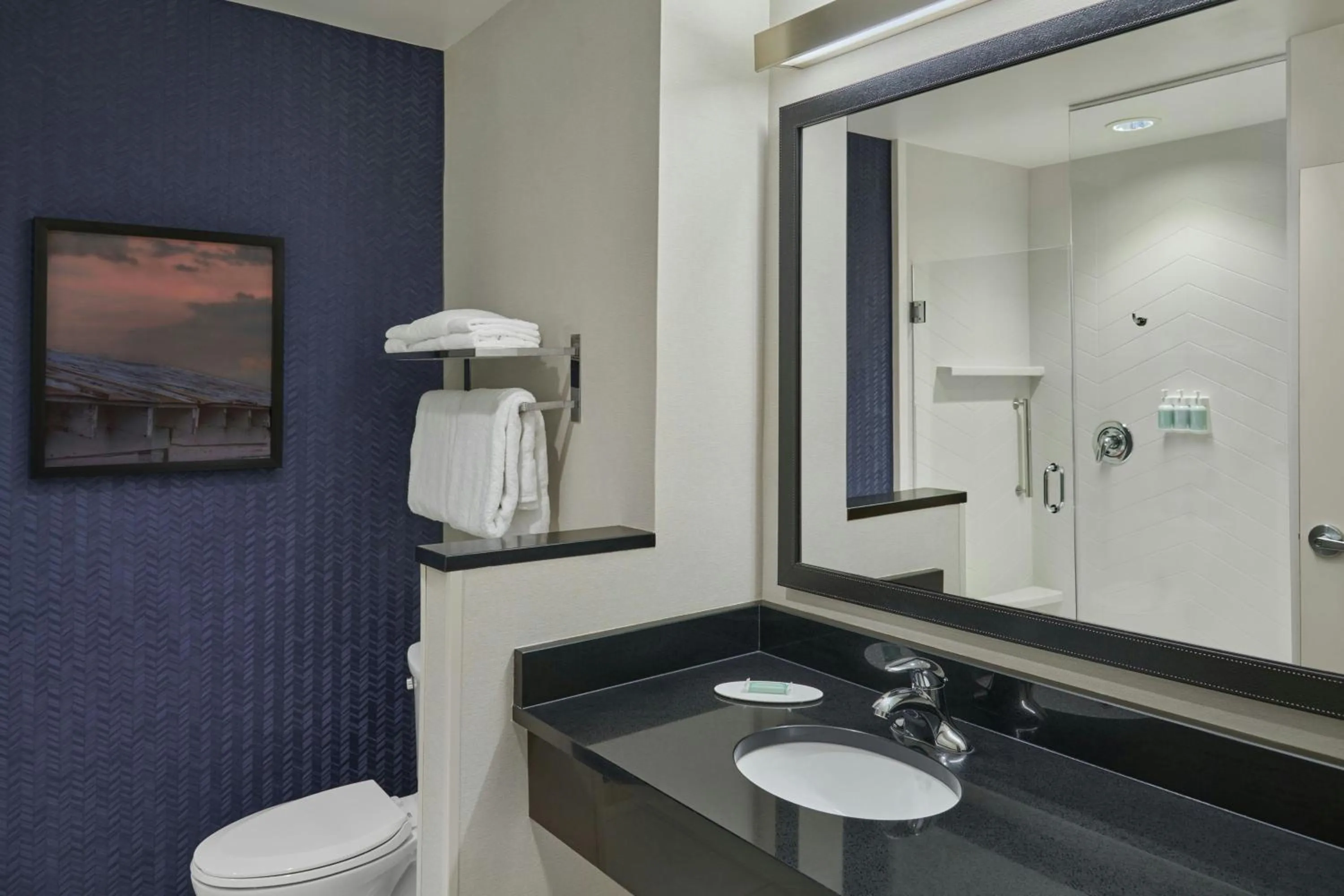 Bathroom in Fairfield Inn & Suites by Marriott Charlotte Airport