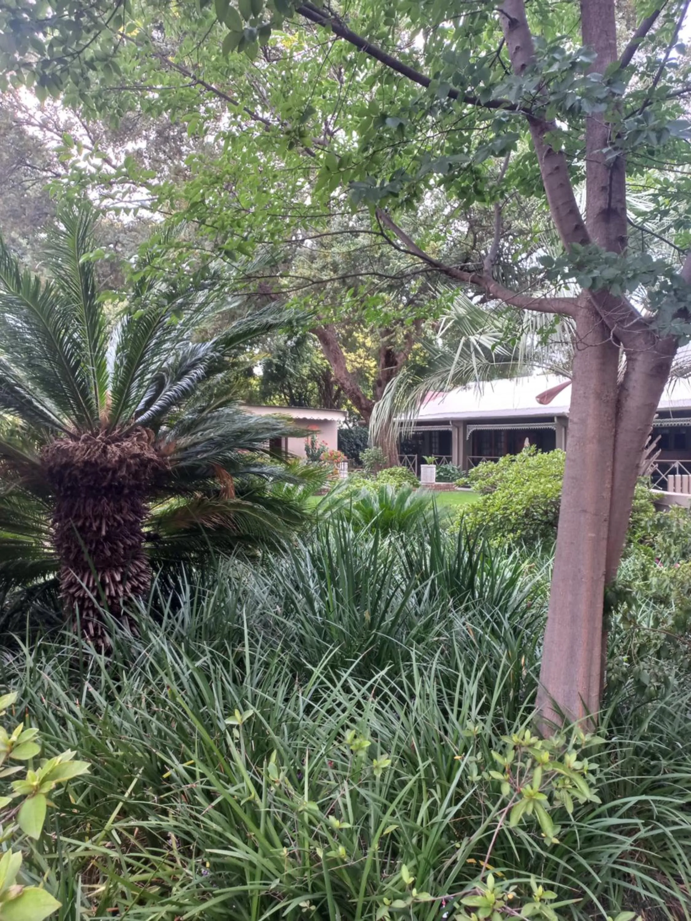 Day in J'Cups Guest House